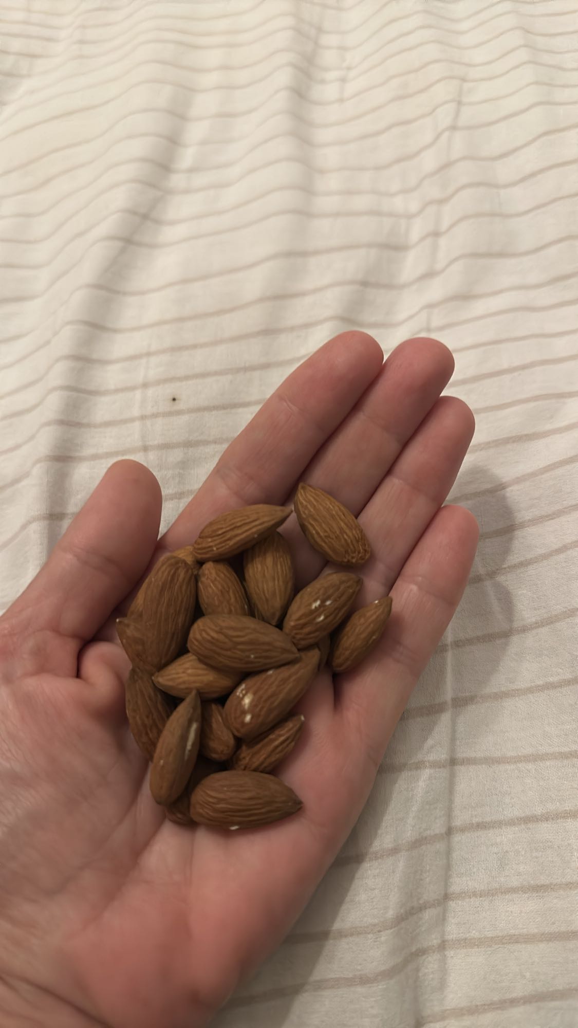 Handful of Almonds