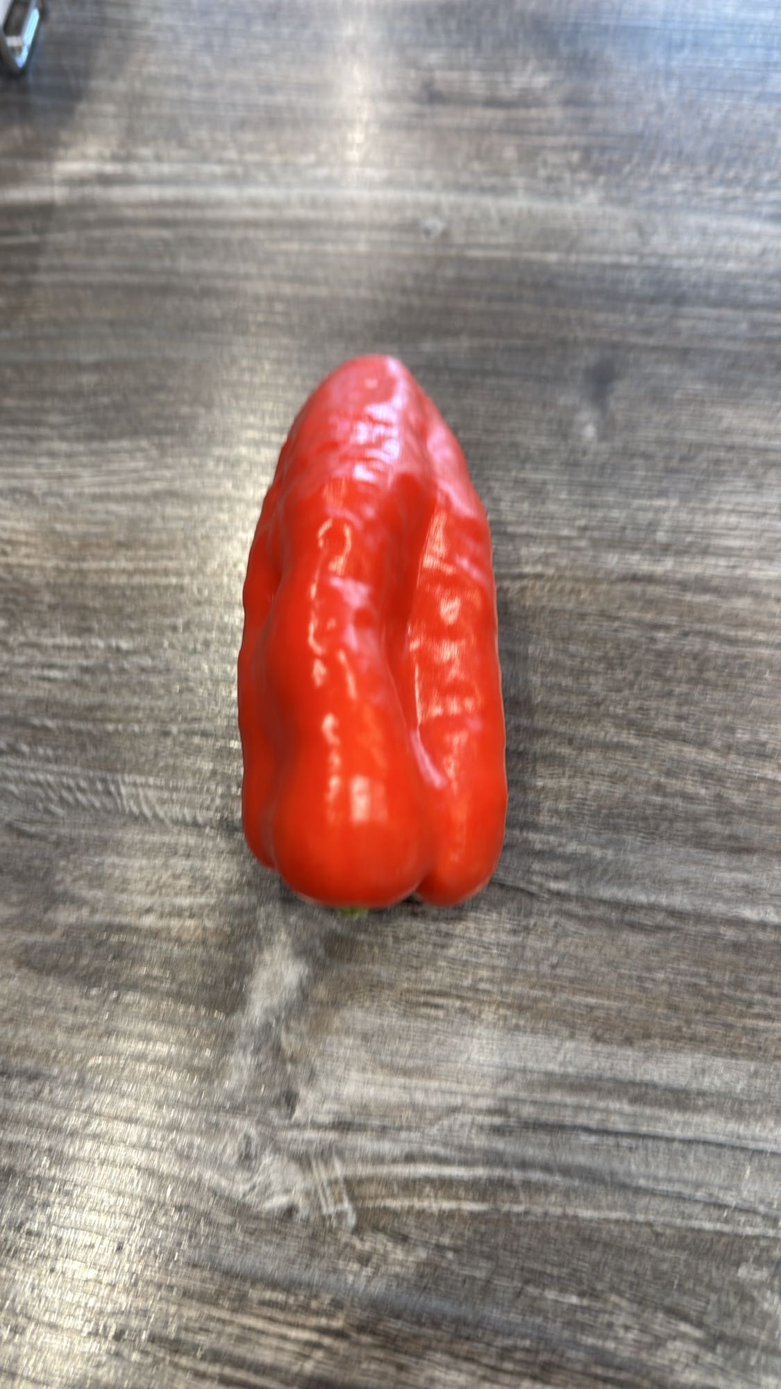 Rode paprika