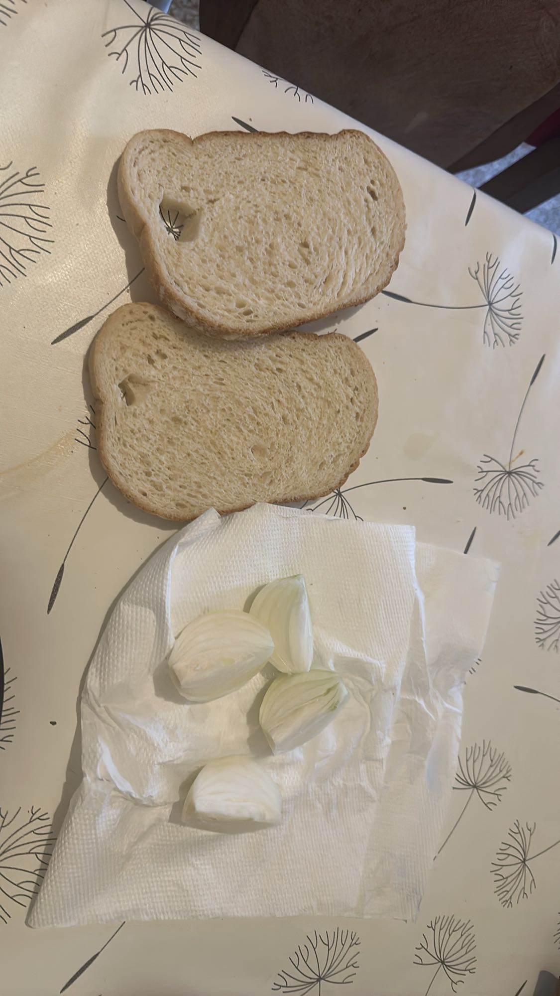 White Bread and Onion