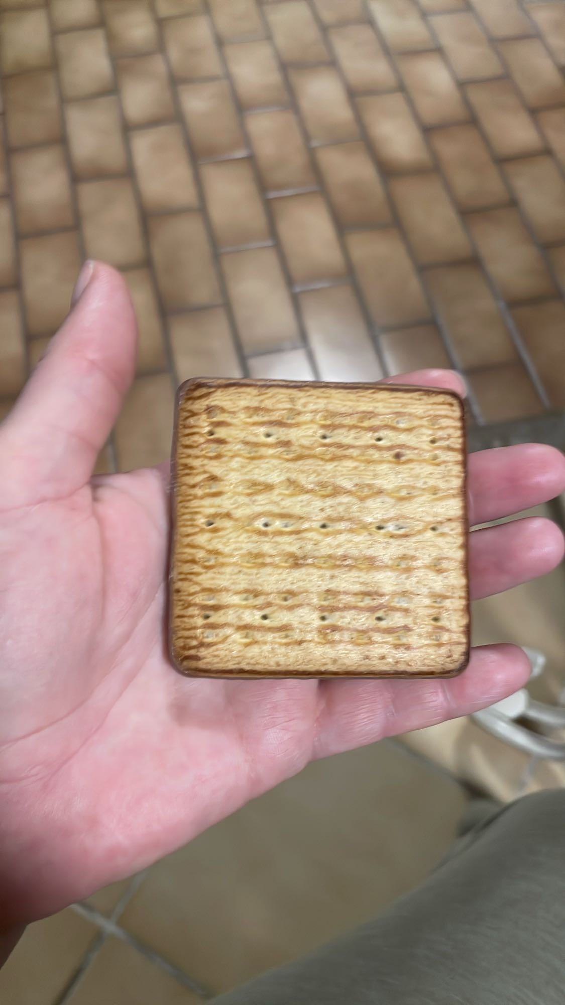 Biscuit chocolaté au blé complet Björk