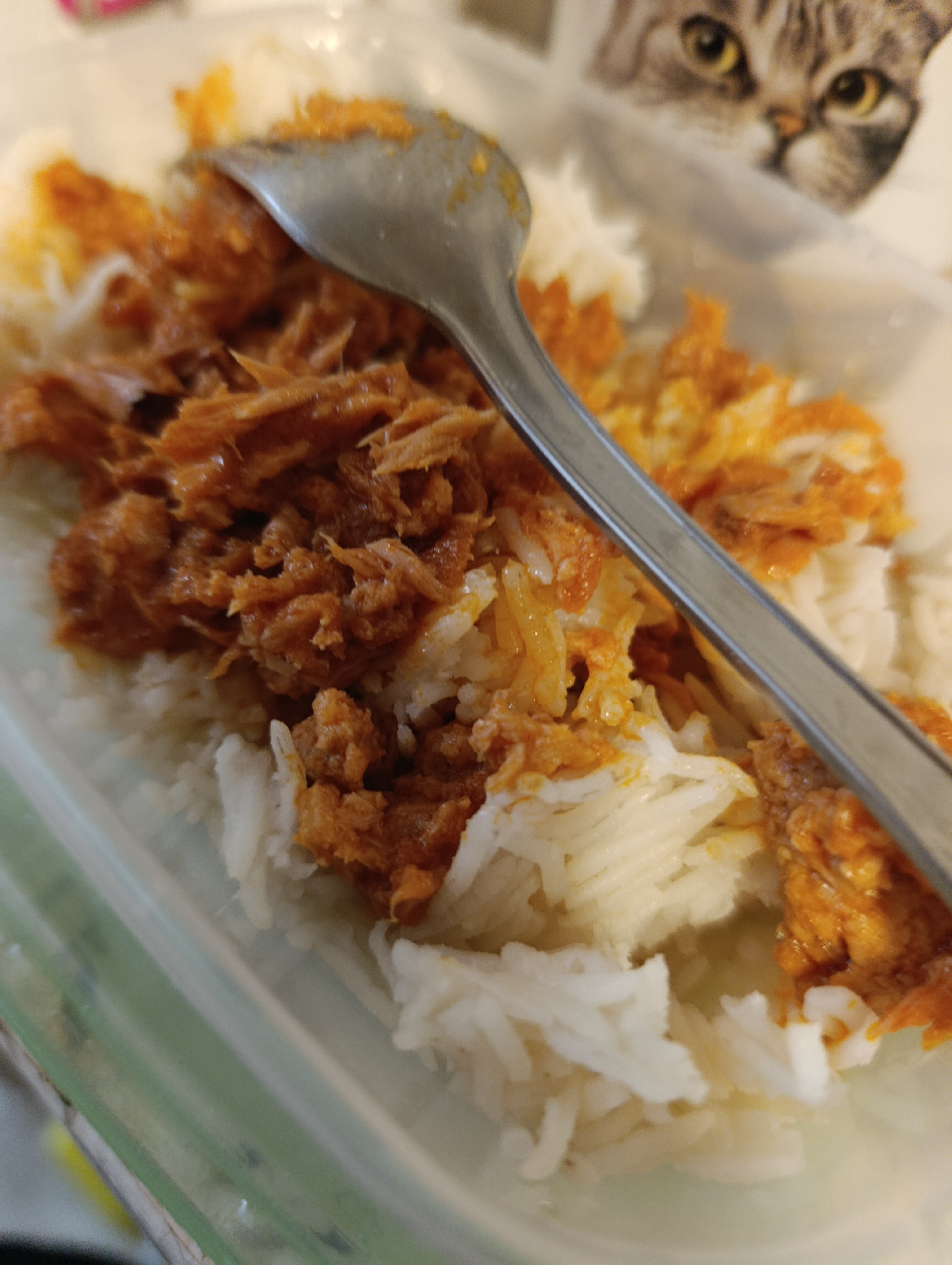 arroz con atún