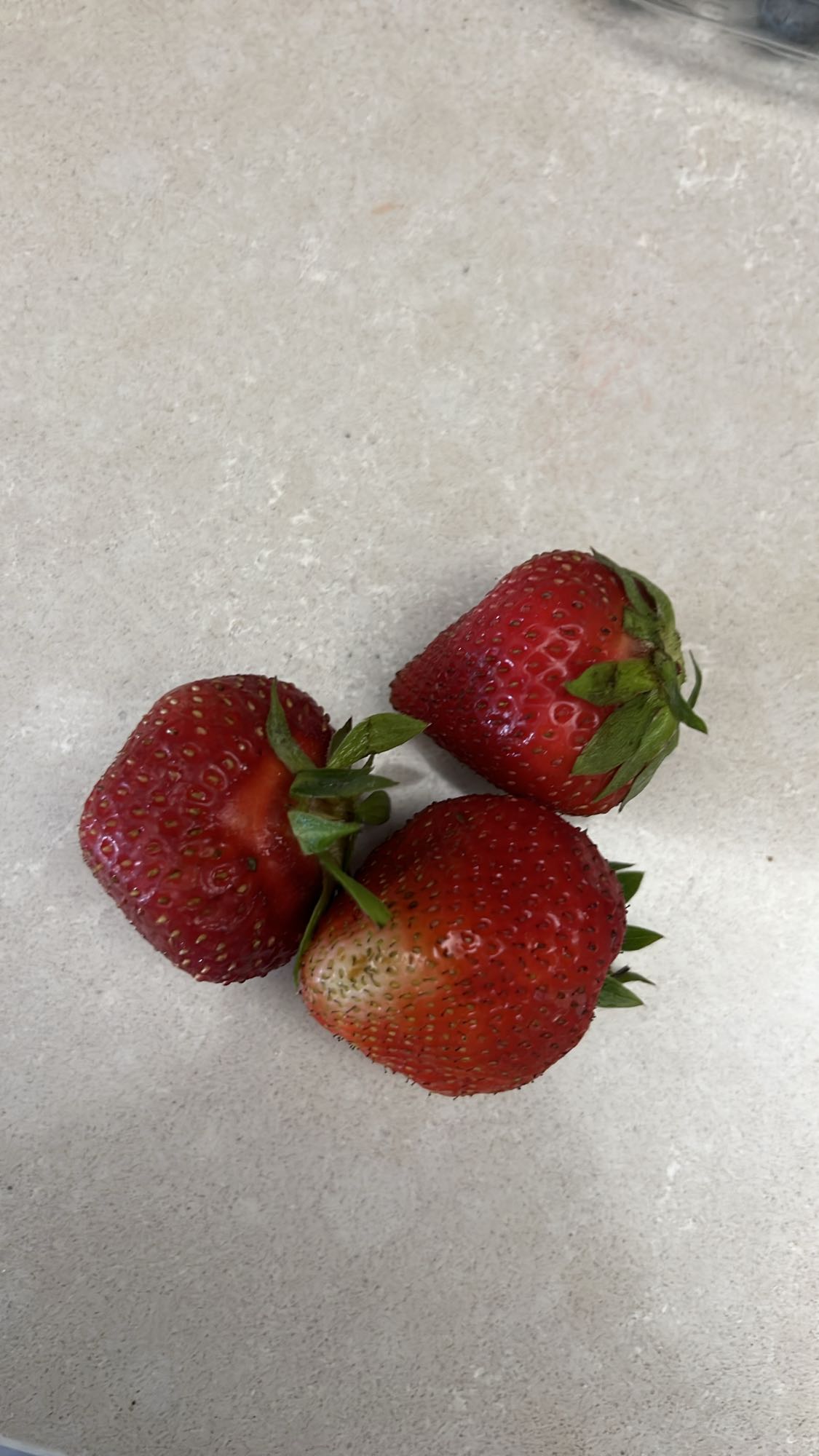 Fragole fresche