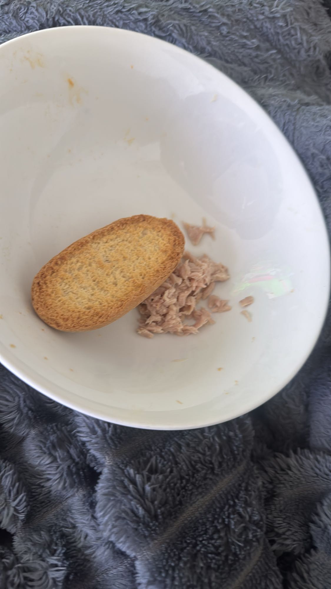 Biscotte et thon