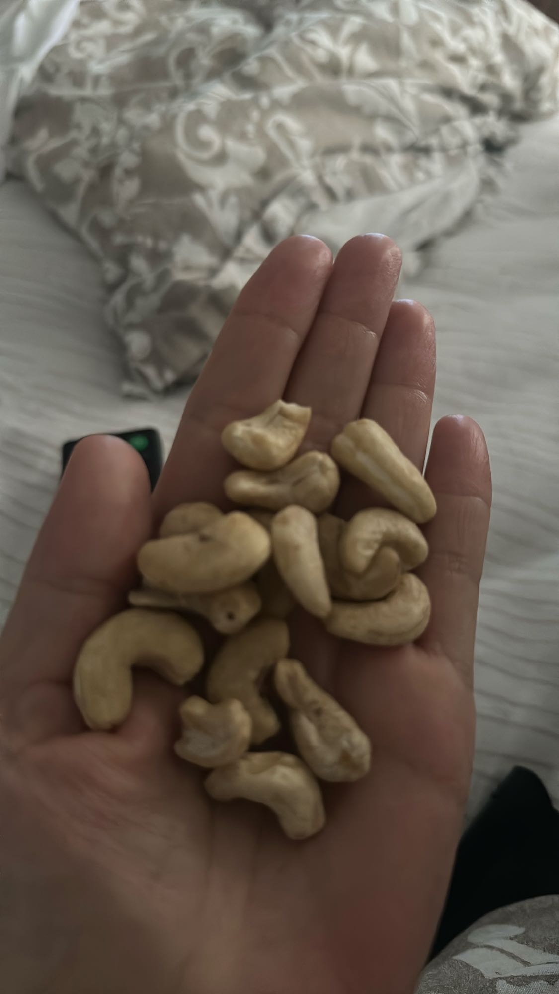 Cashew Handful
