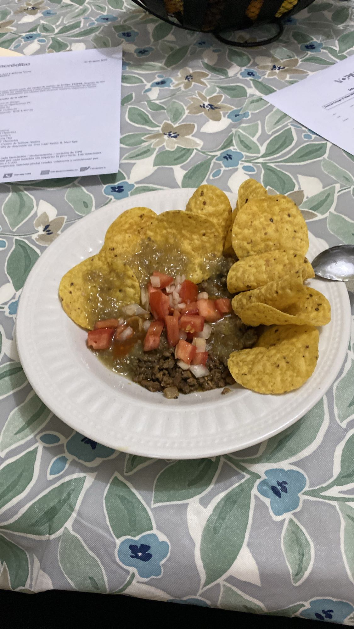 nachos con carne