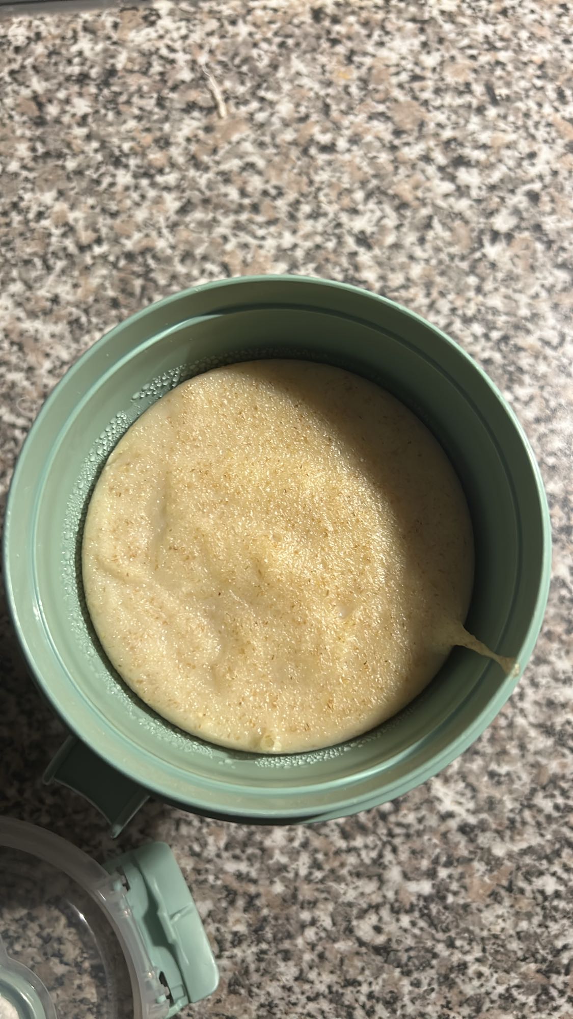 papilla de avena