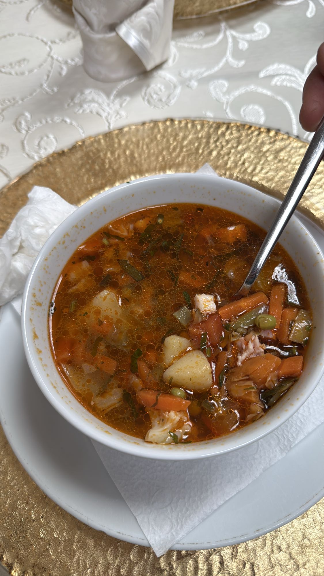 Vegetable Chicken Soup