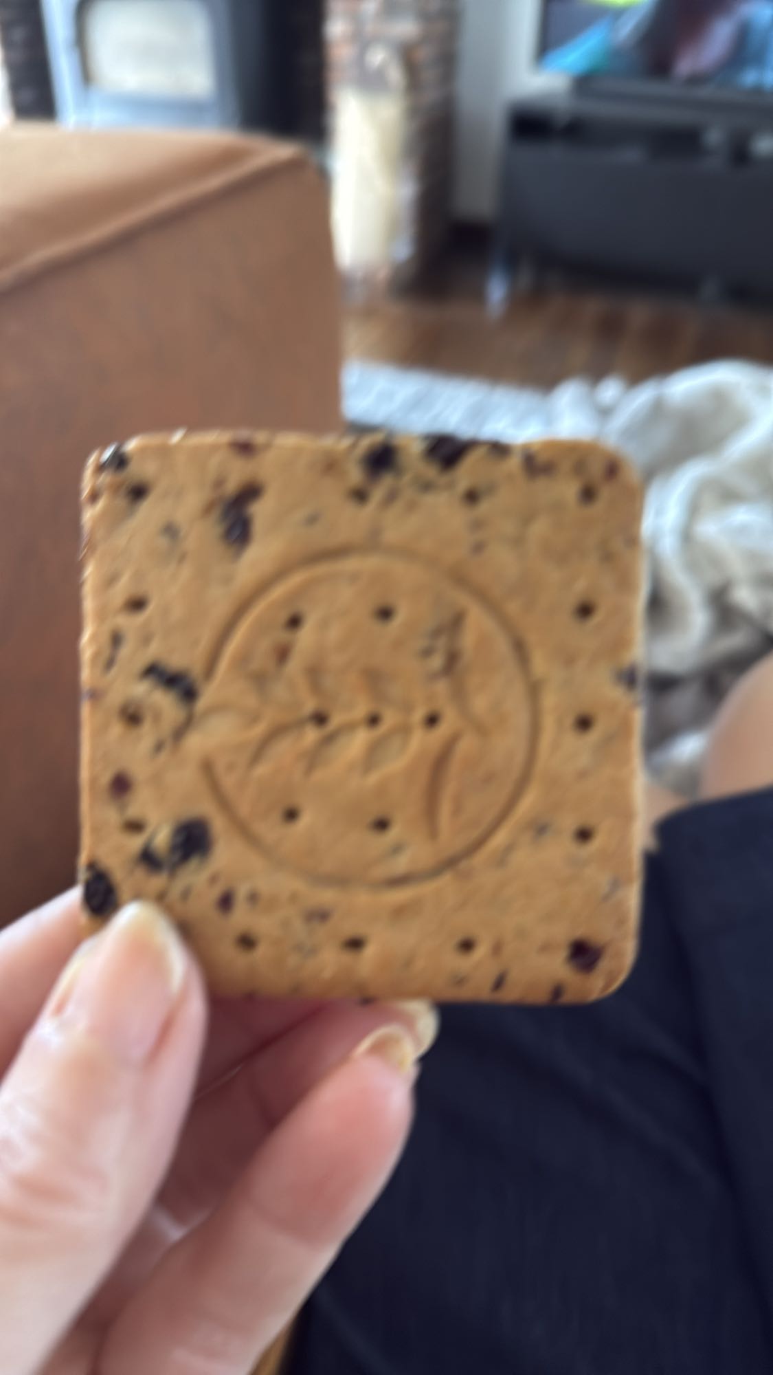 chocoladekoekje