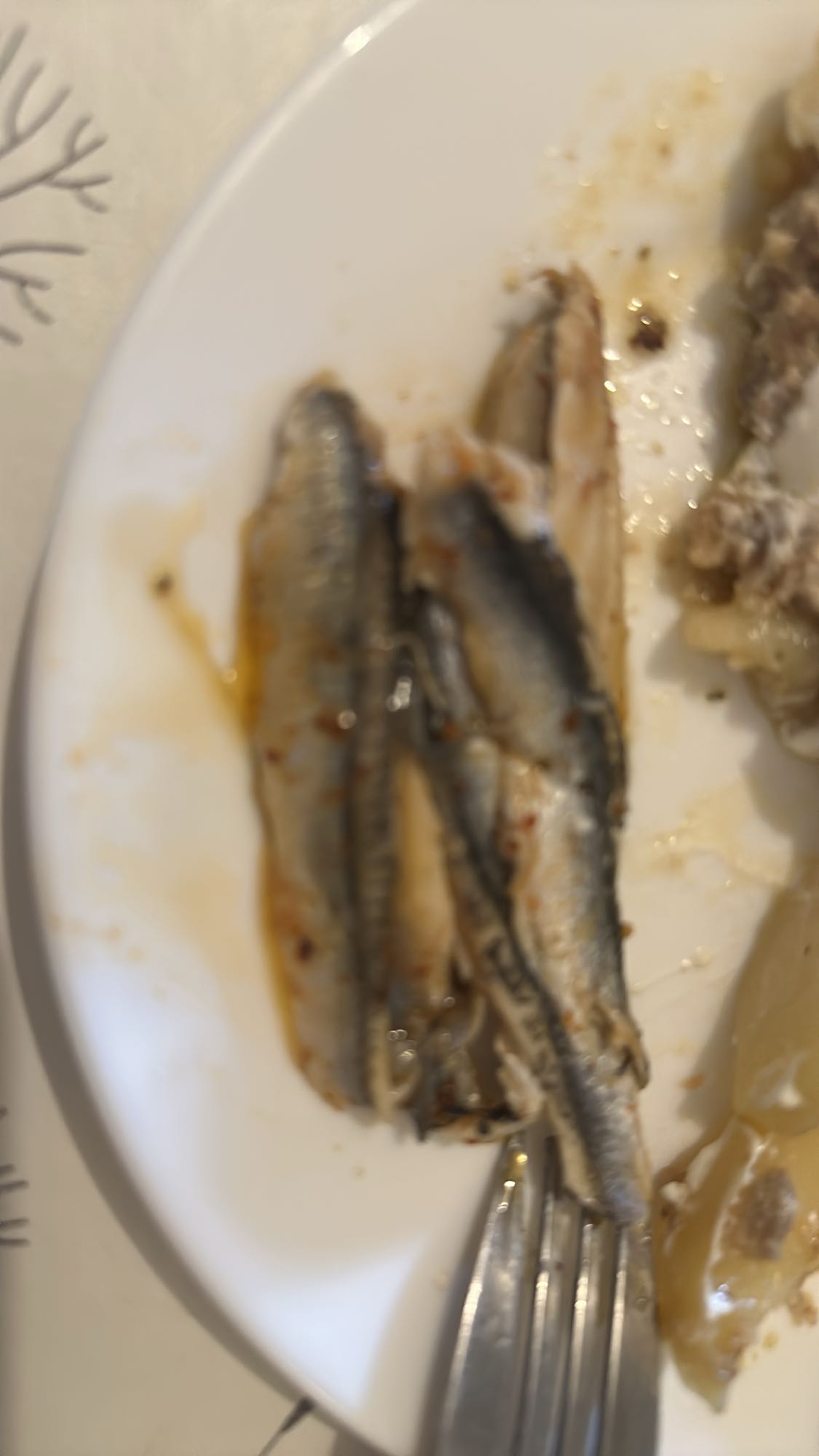 Sardines in Oil