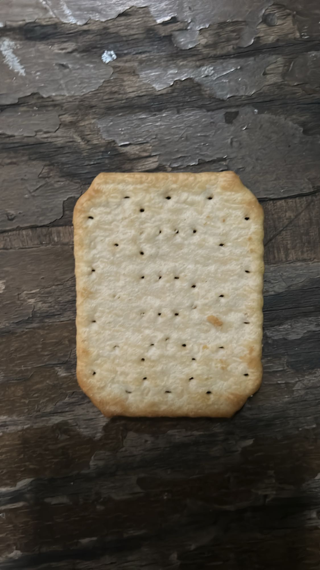 galleta salada