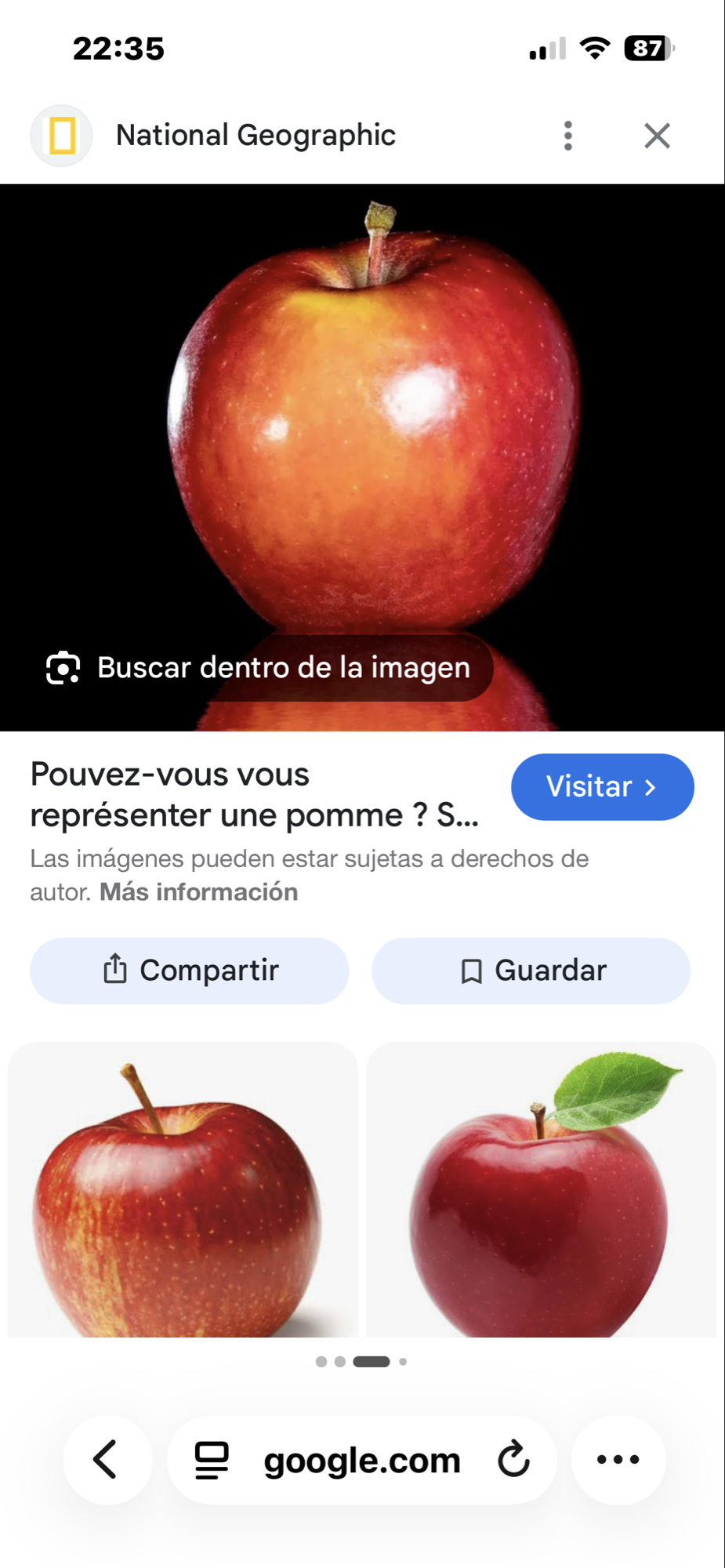 Pomme rouge
