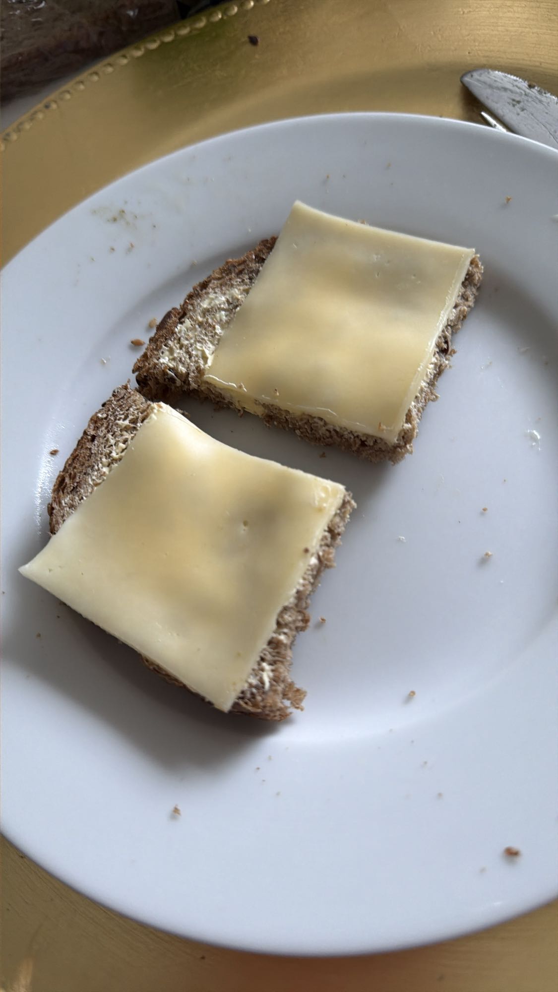Brood met kaas