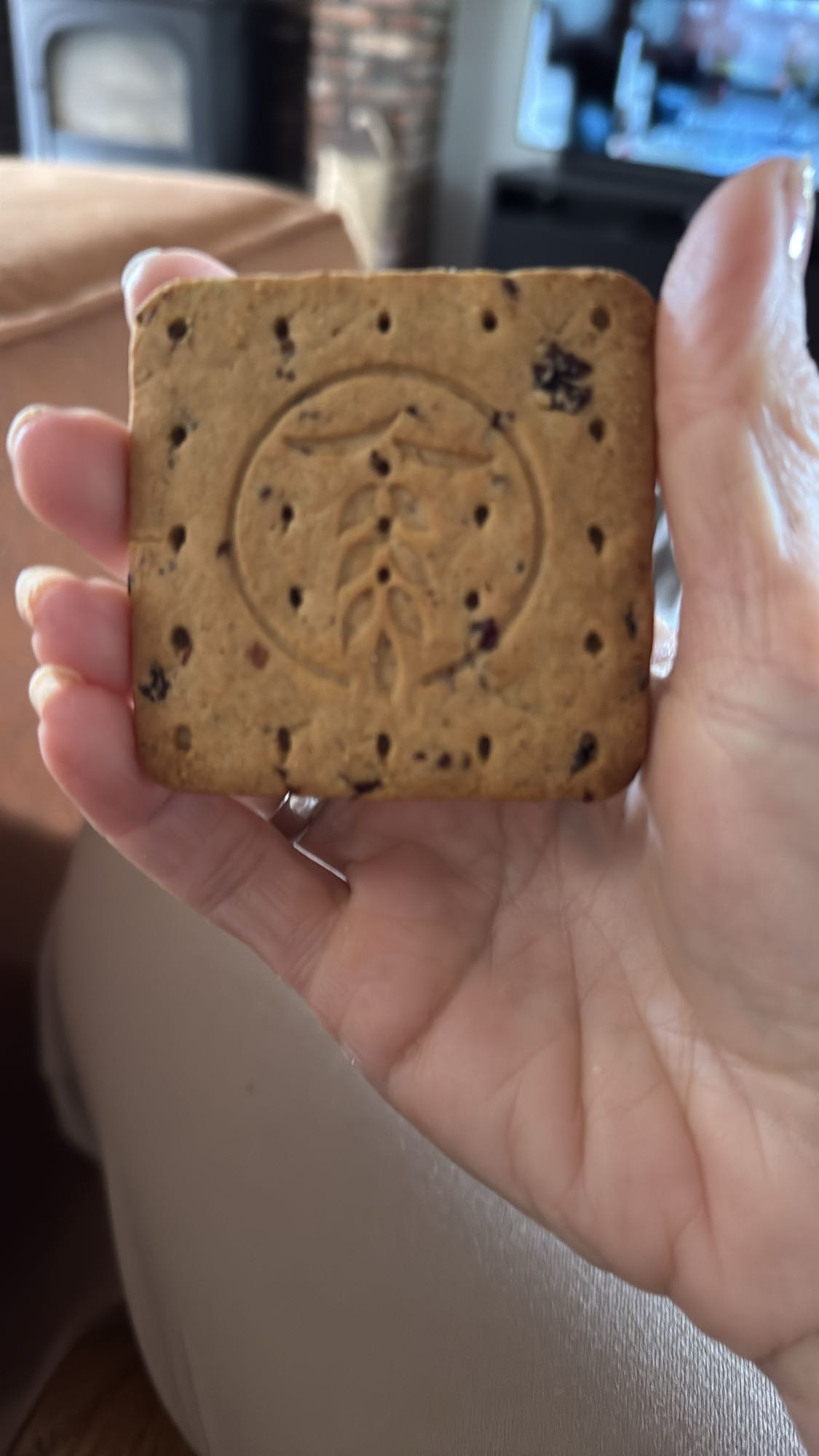 Rozijnenkoekje