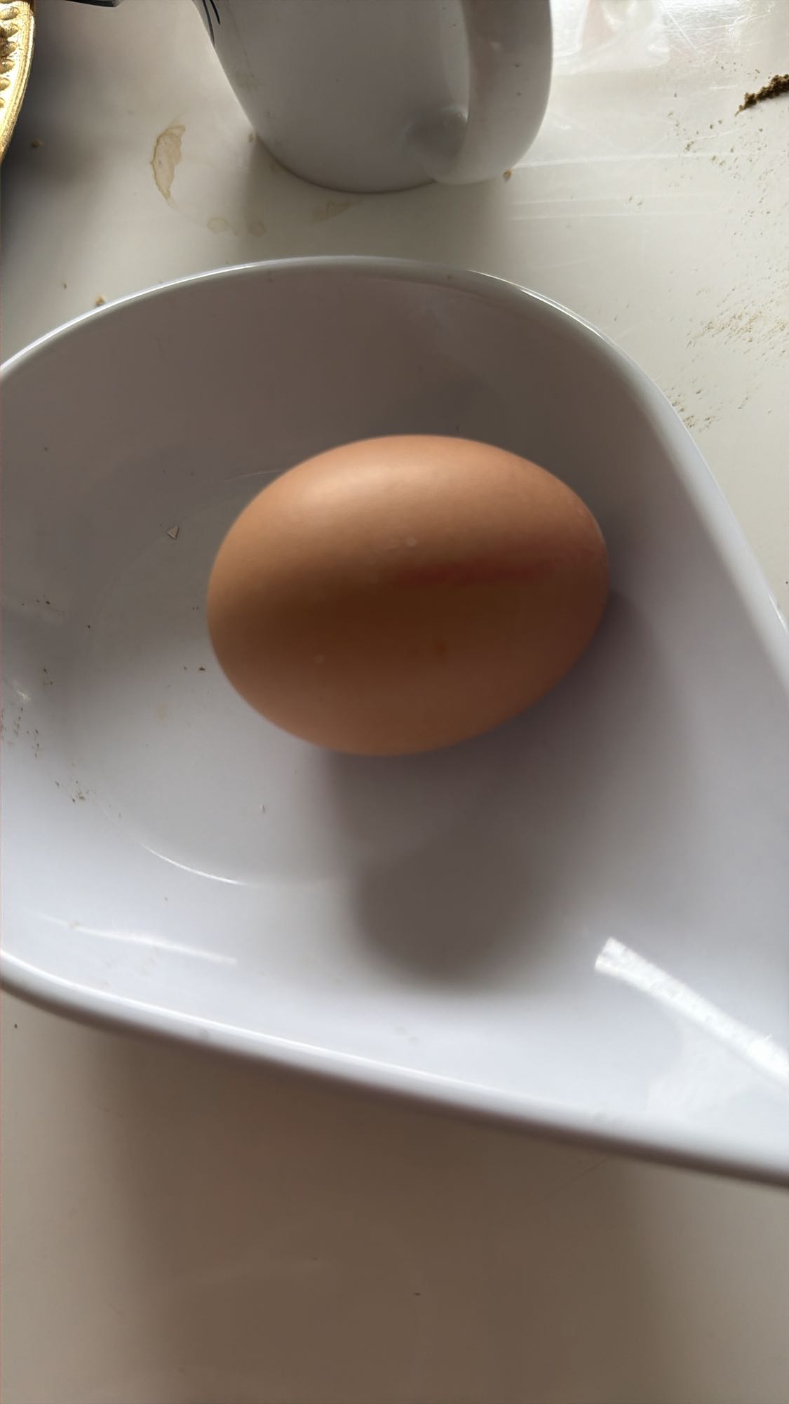 gekookt ei