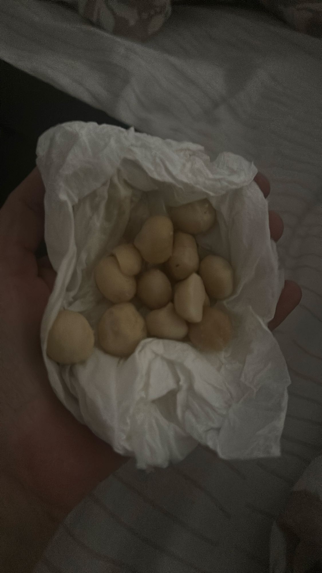 Macadamia Nuts
