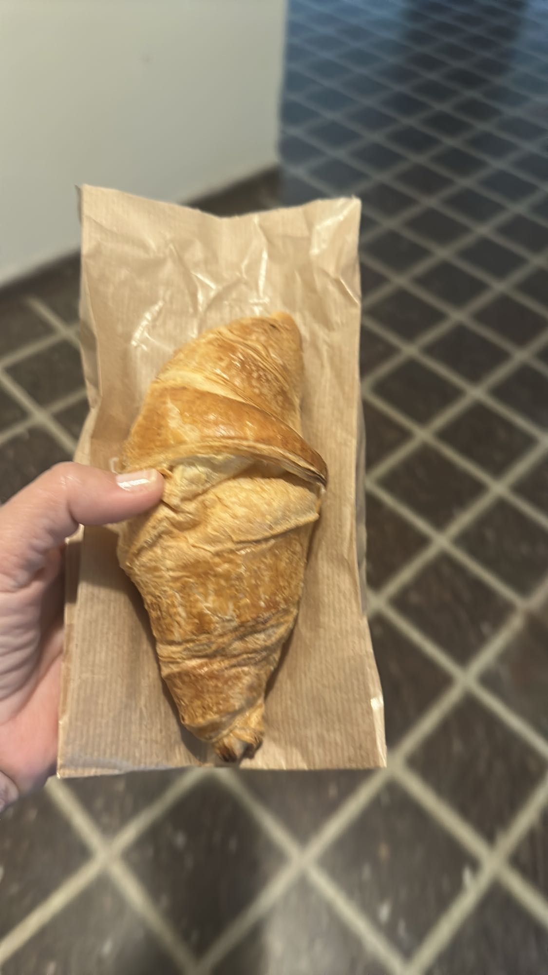 Plain Croissant