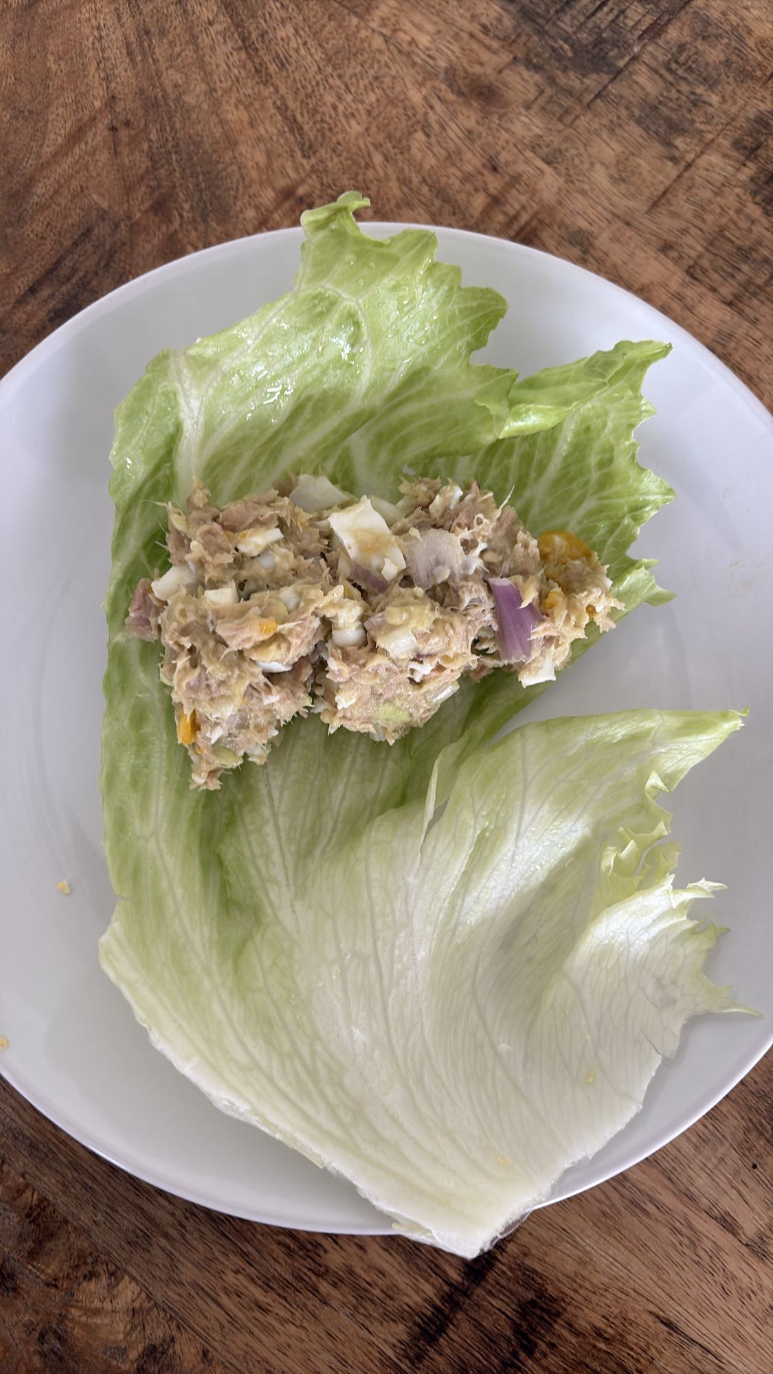 Tonijnslawraps