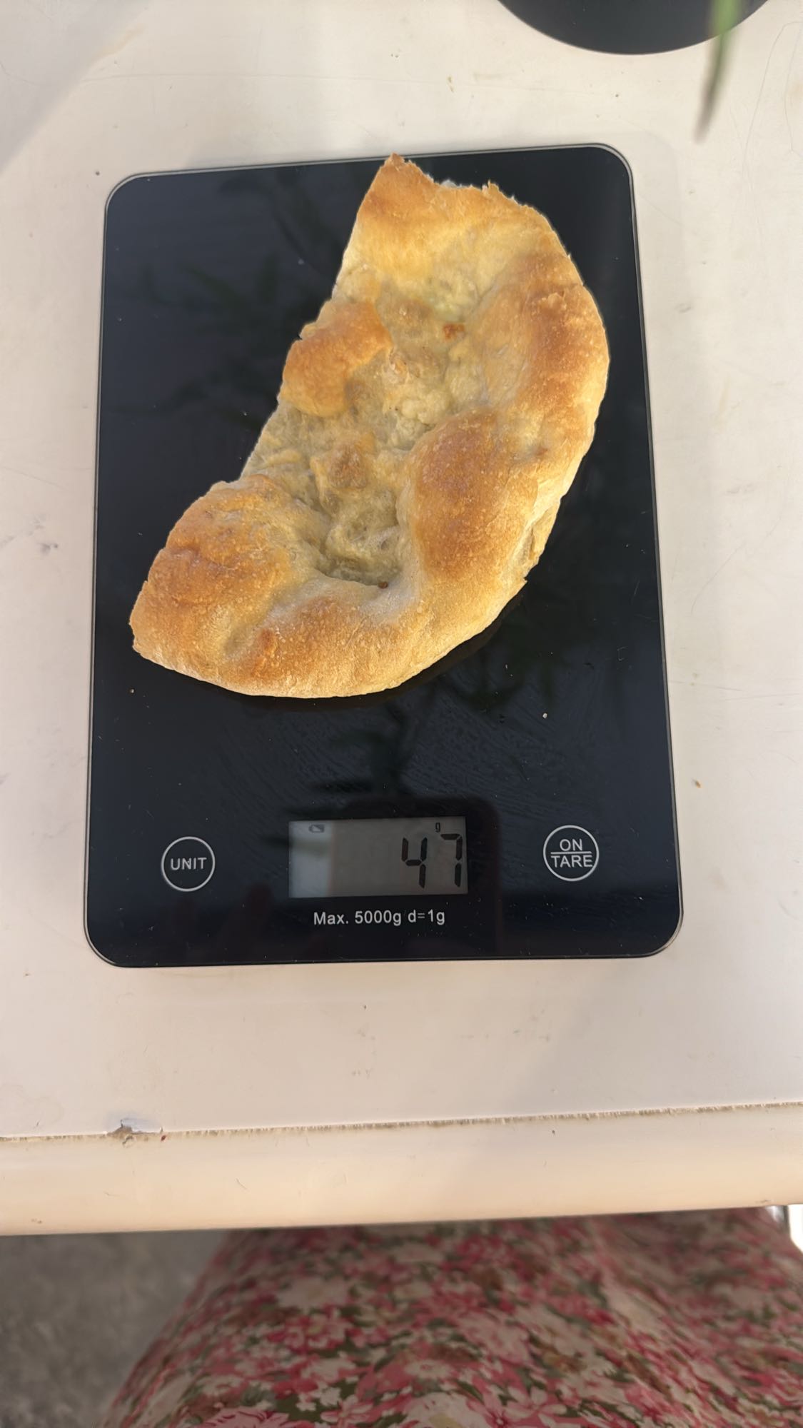 Vitt bröd