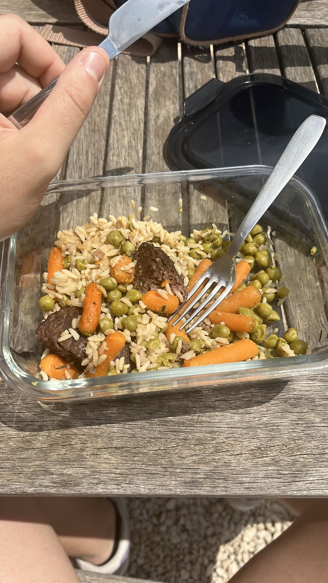 Riz boeuf légumes