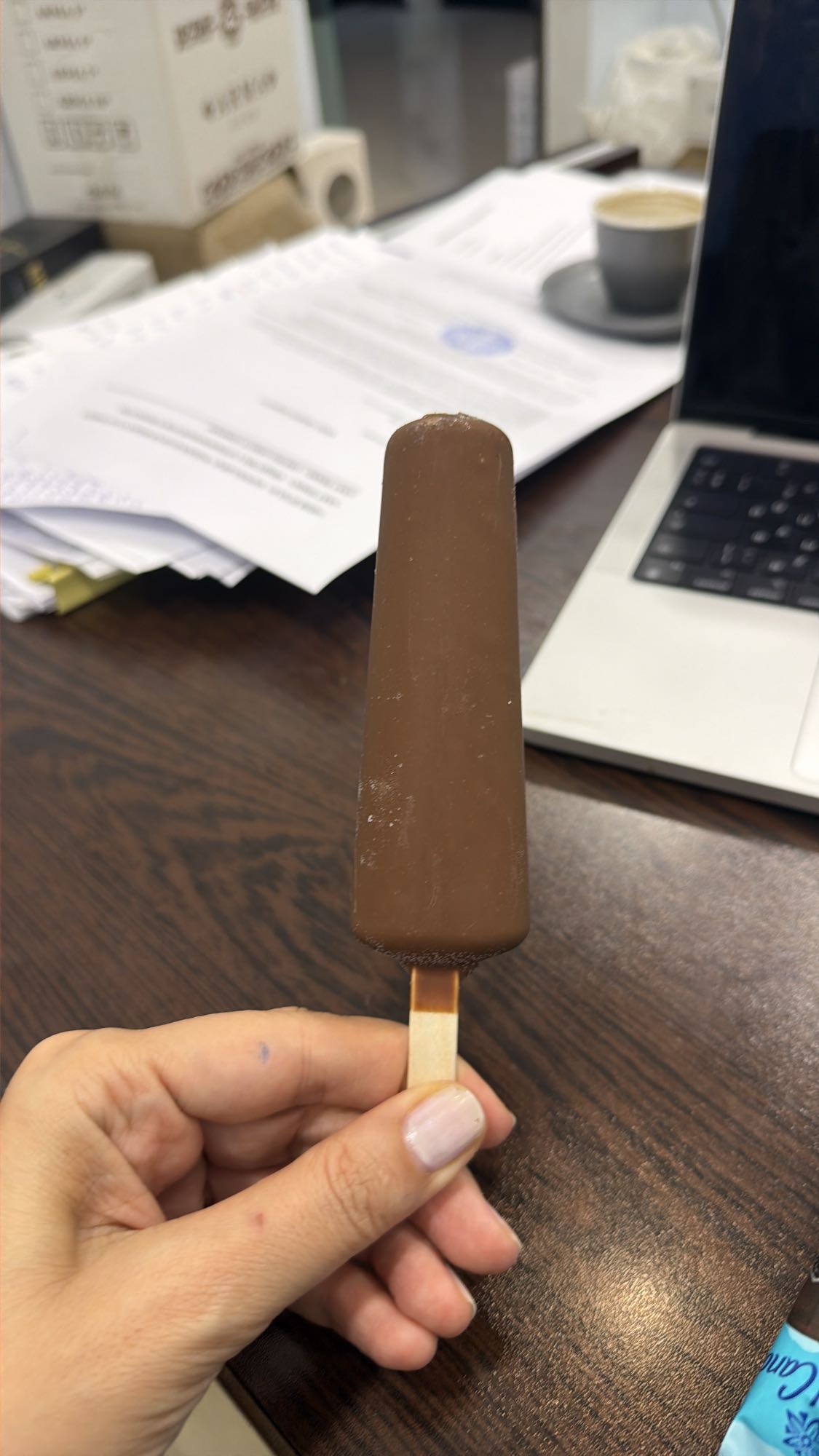 Chocolate Ice Cream Bar