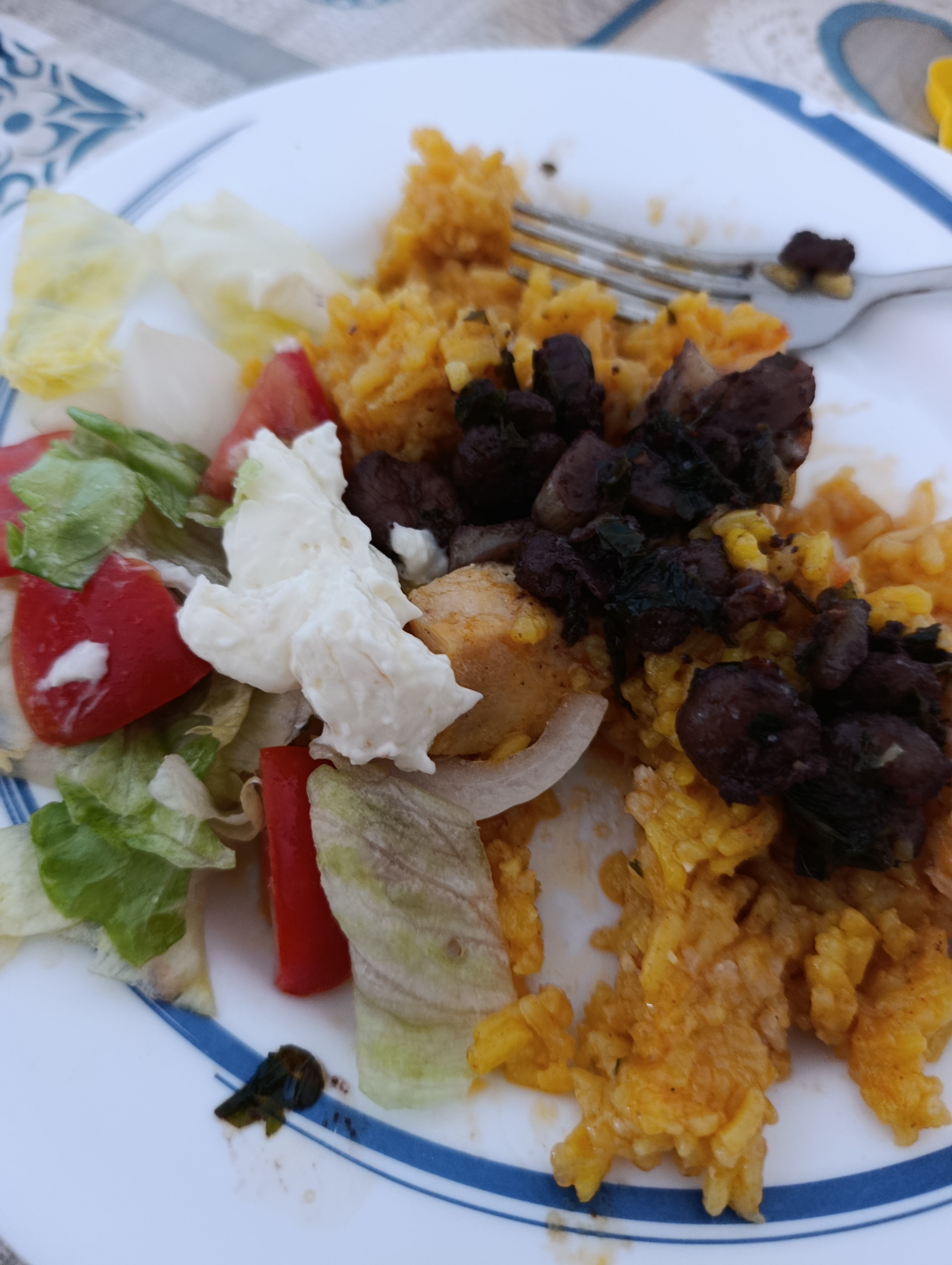arroz con carne y ensalada