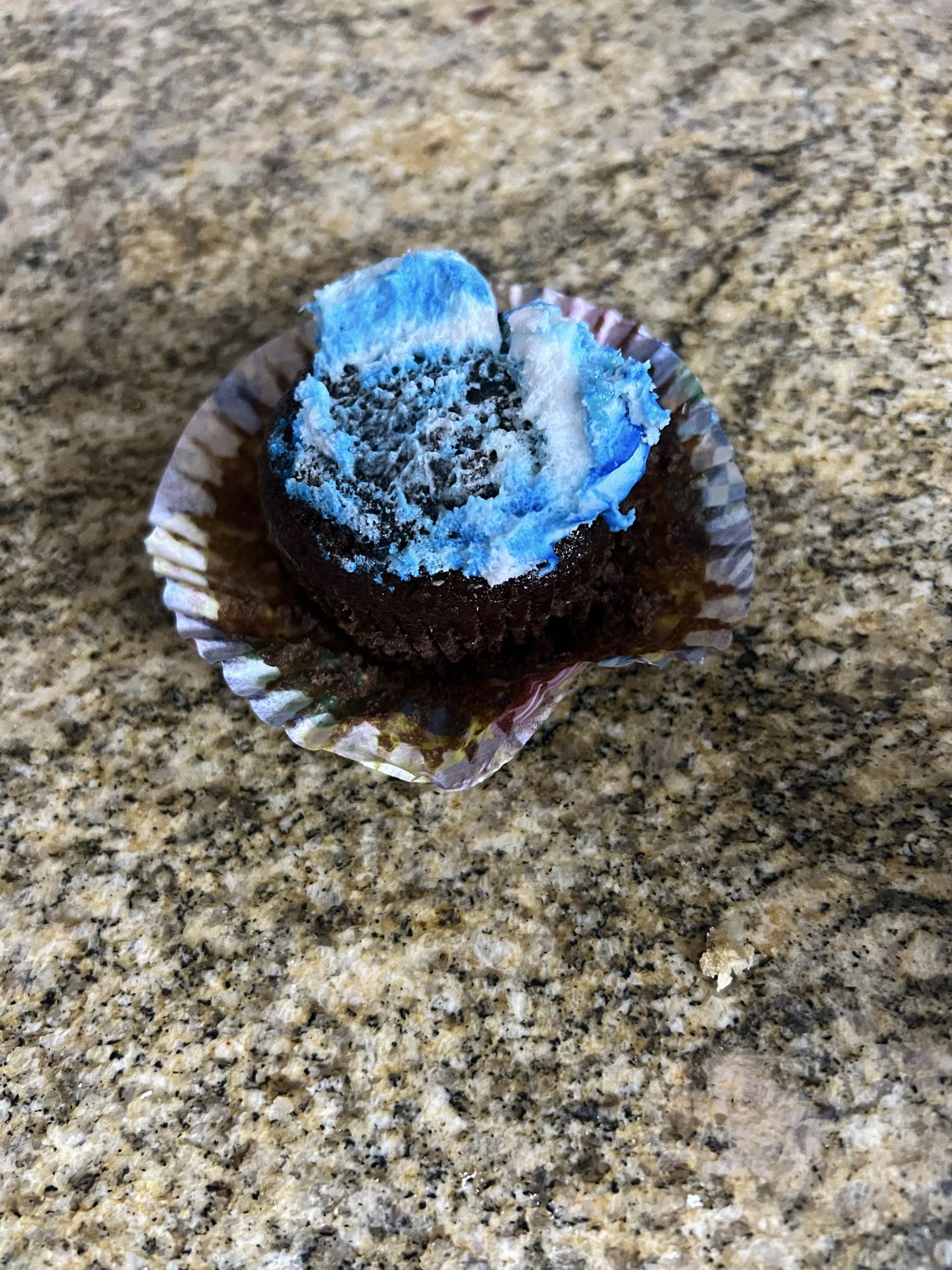 Chocolate Cupcake