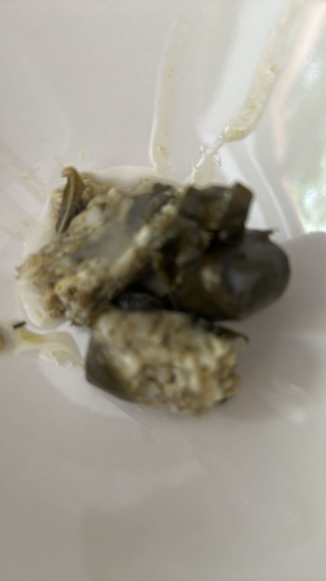 Zeytinyağlı Yaprak Sarma