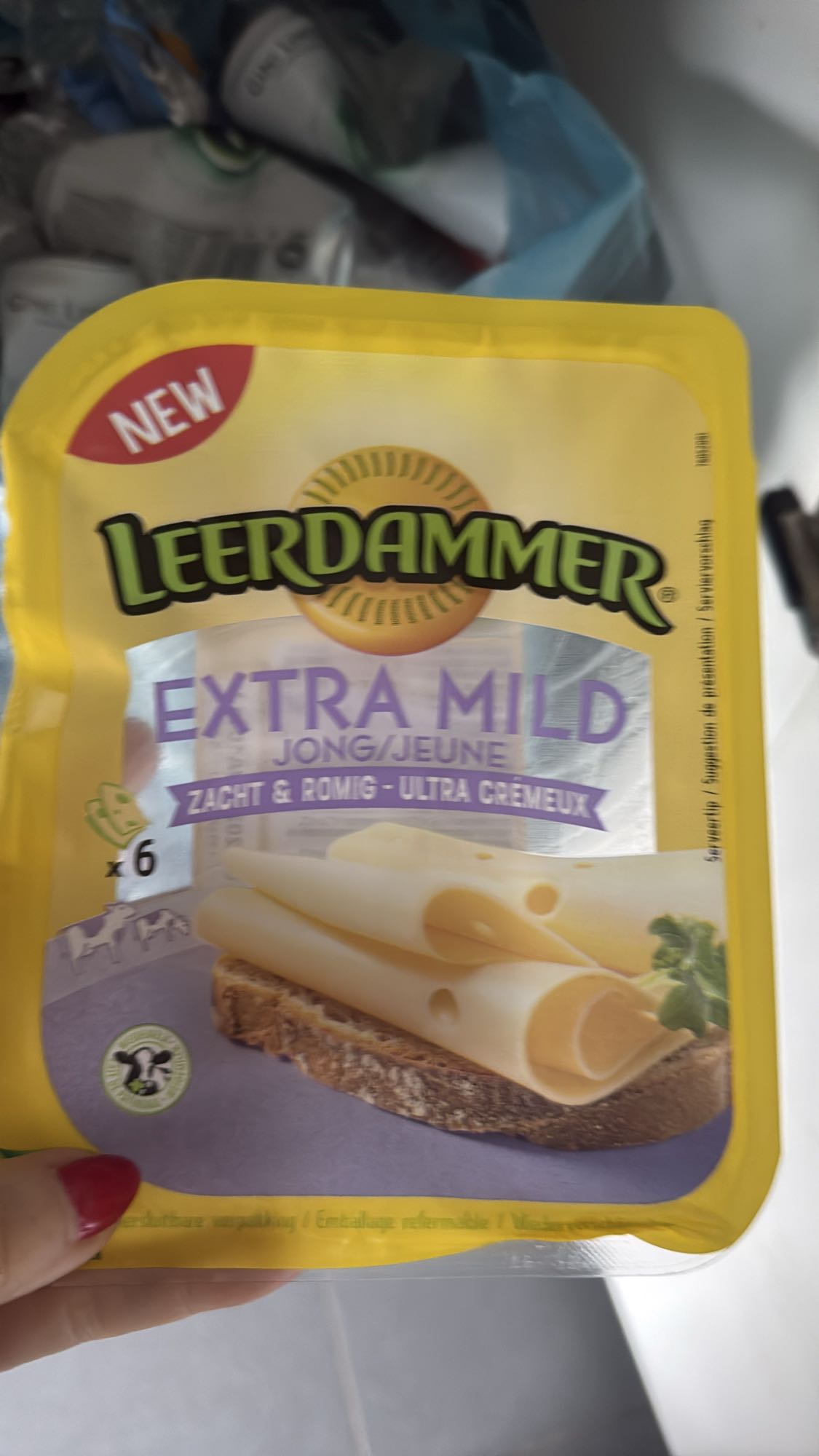 Leerdammer kaasplakken