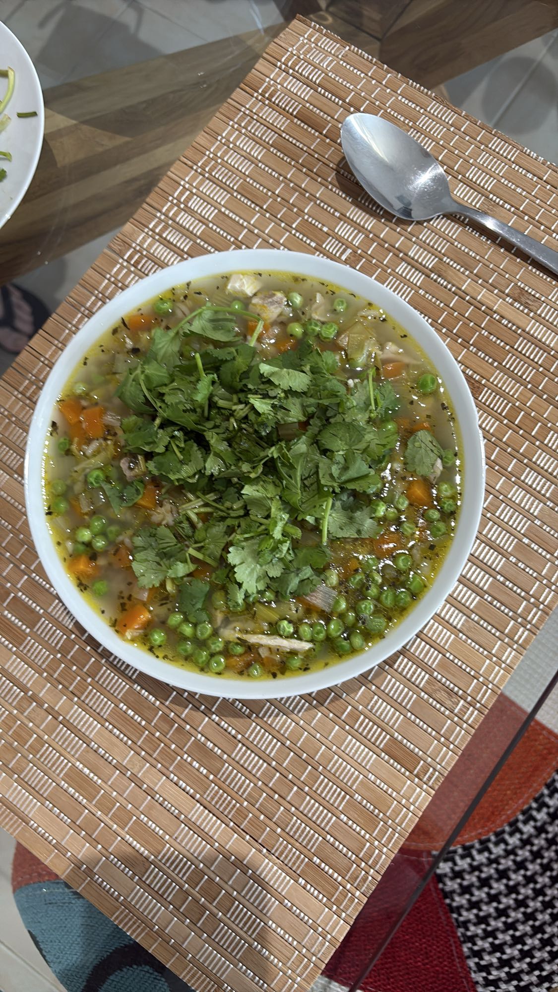Chicken Vegetable Soup