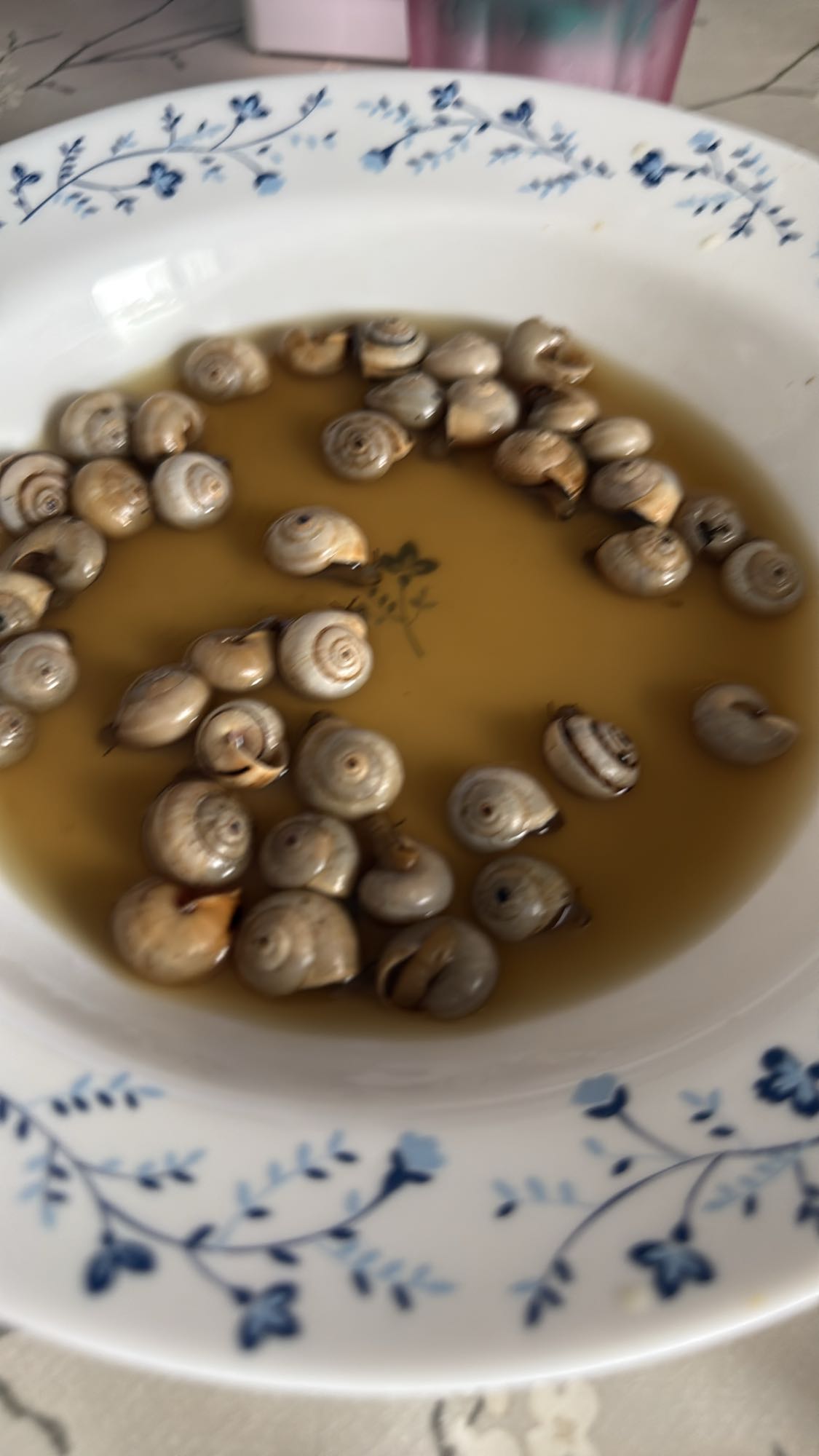 Caracoles en caldo