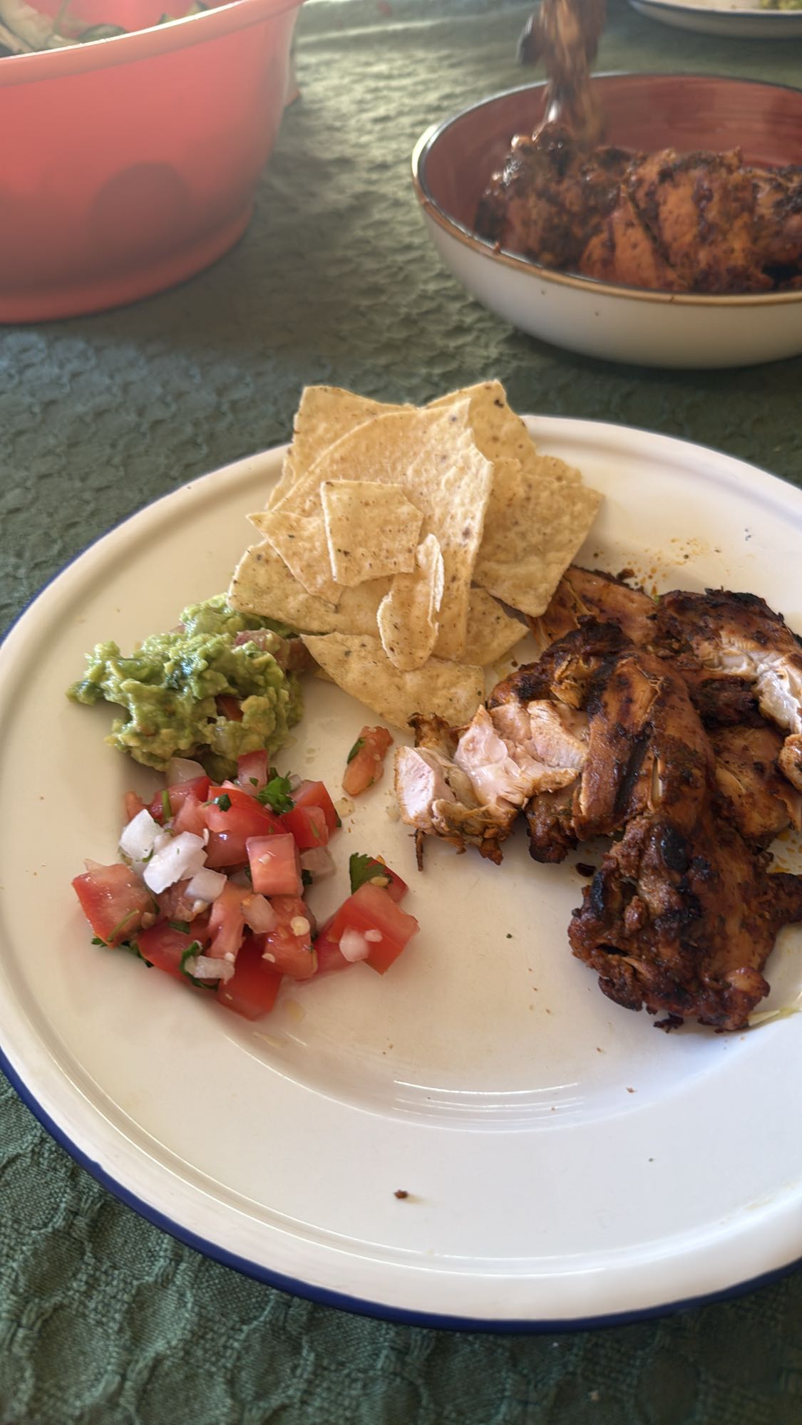 Grilled Chicken Plate