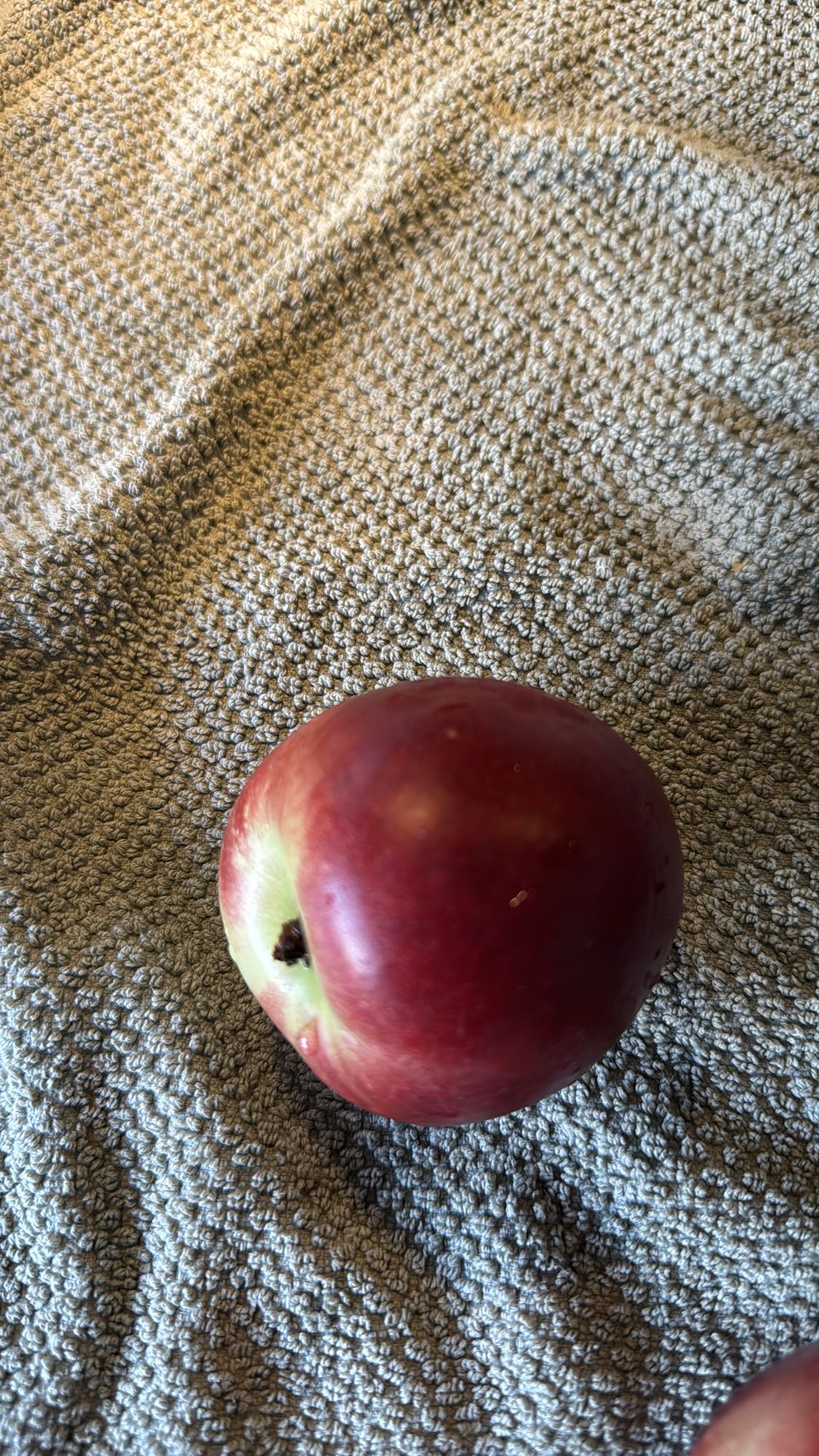 Red Apple