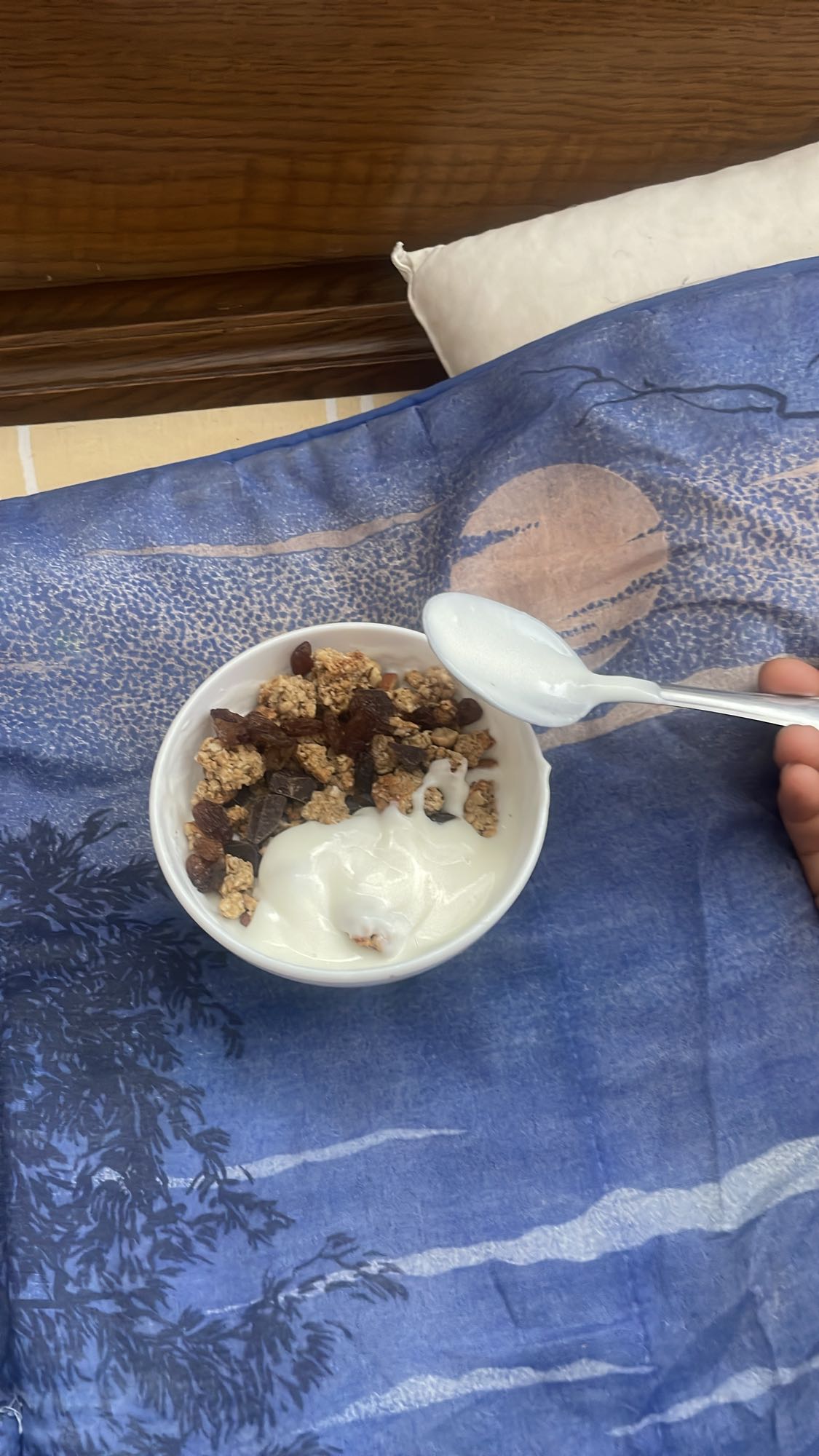 Yaourt granola raisins