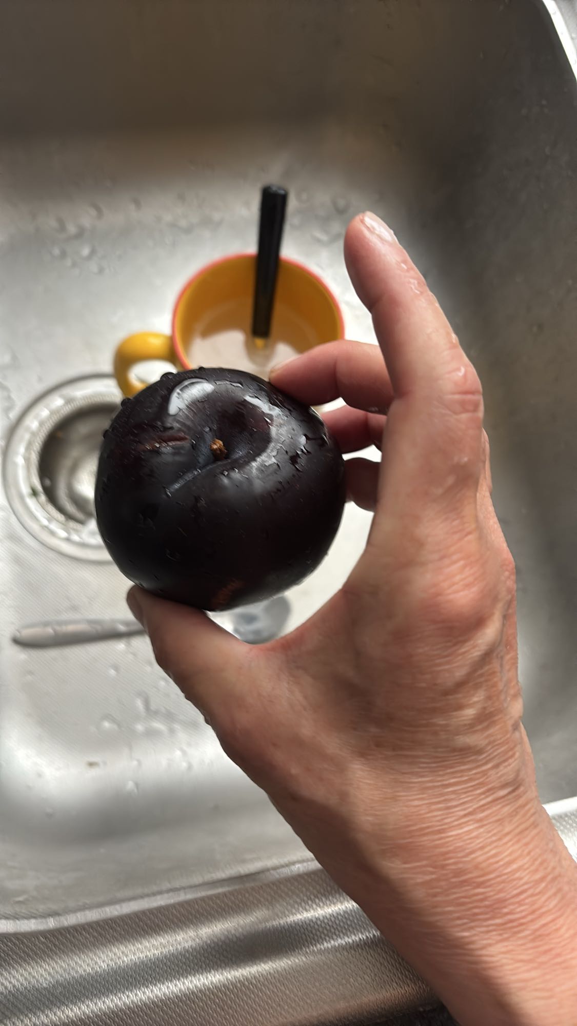 Prune noire