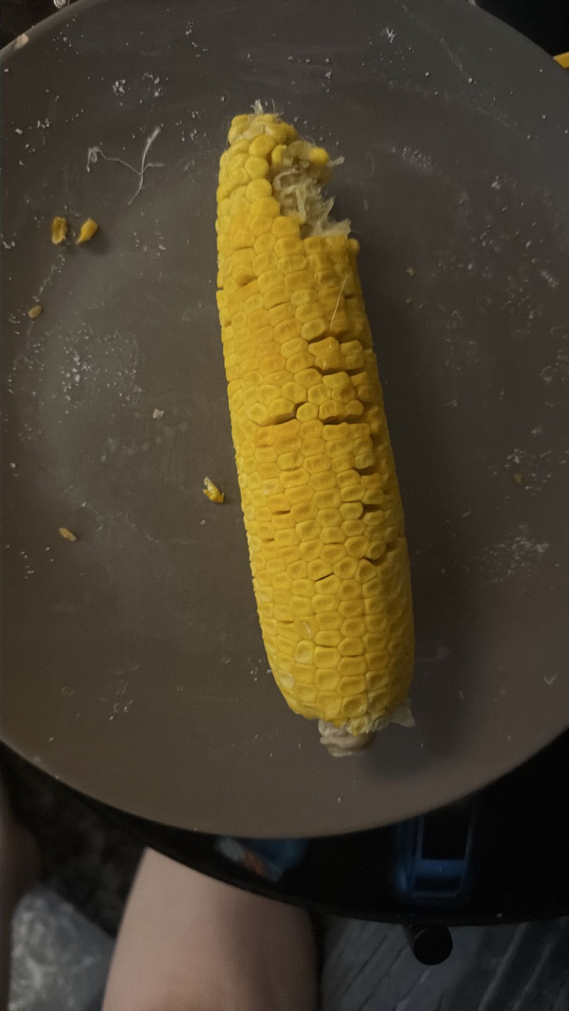 Porumb fiert