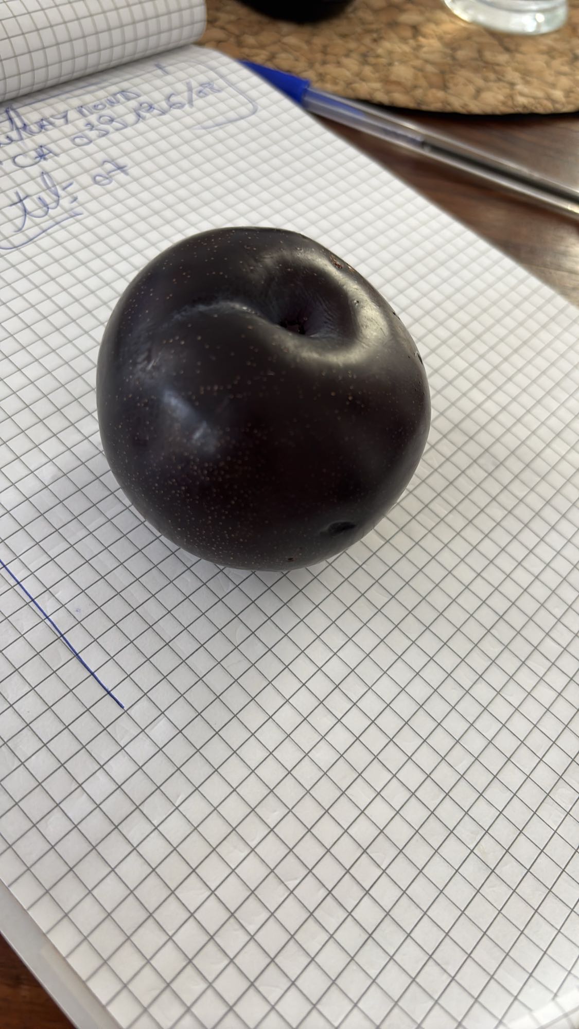 Prune noire