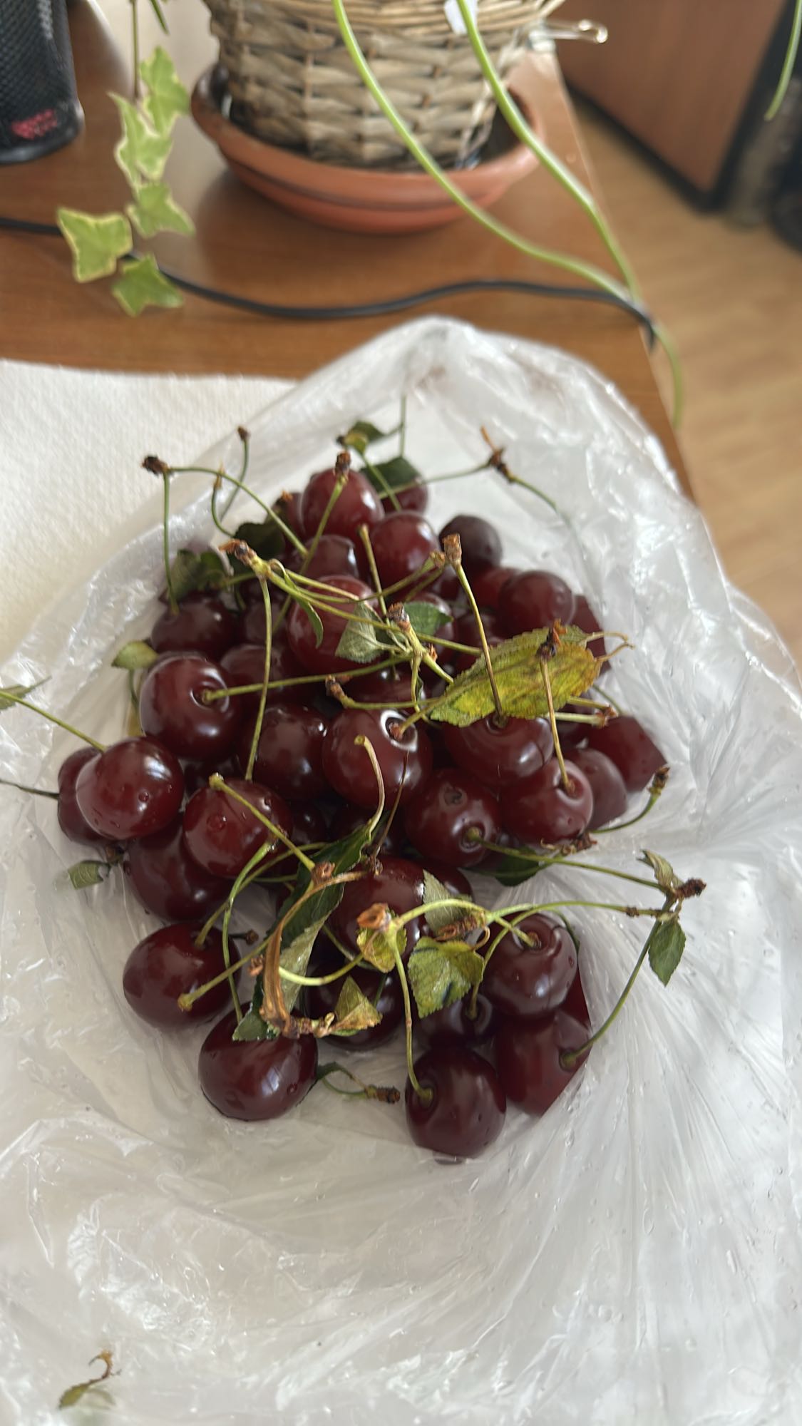 Fresh Cherries