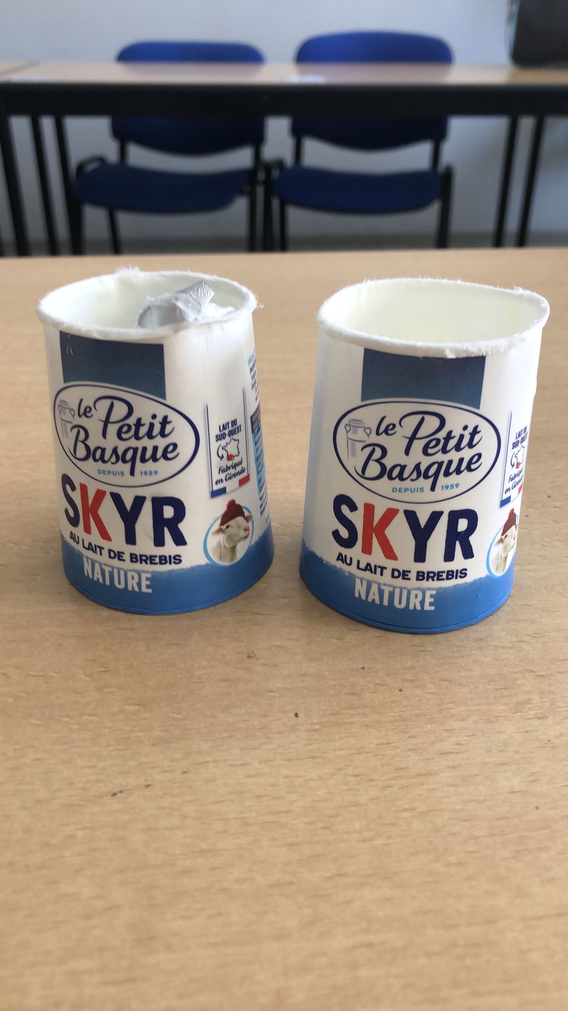 Deux skyrs nature