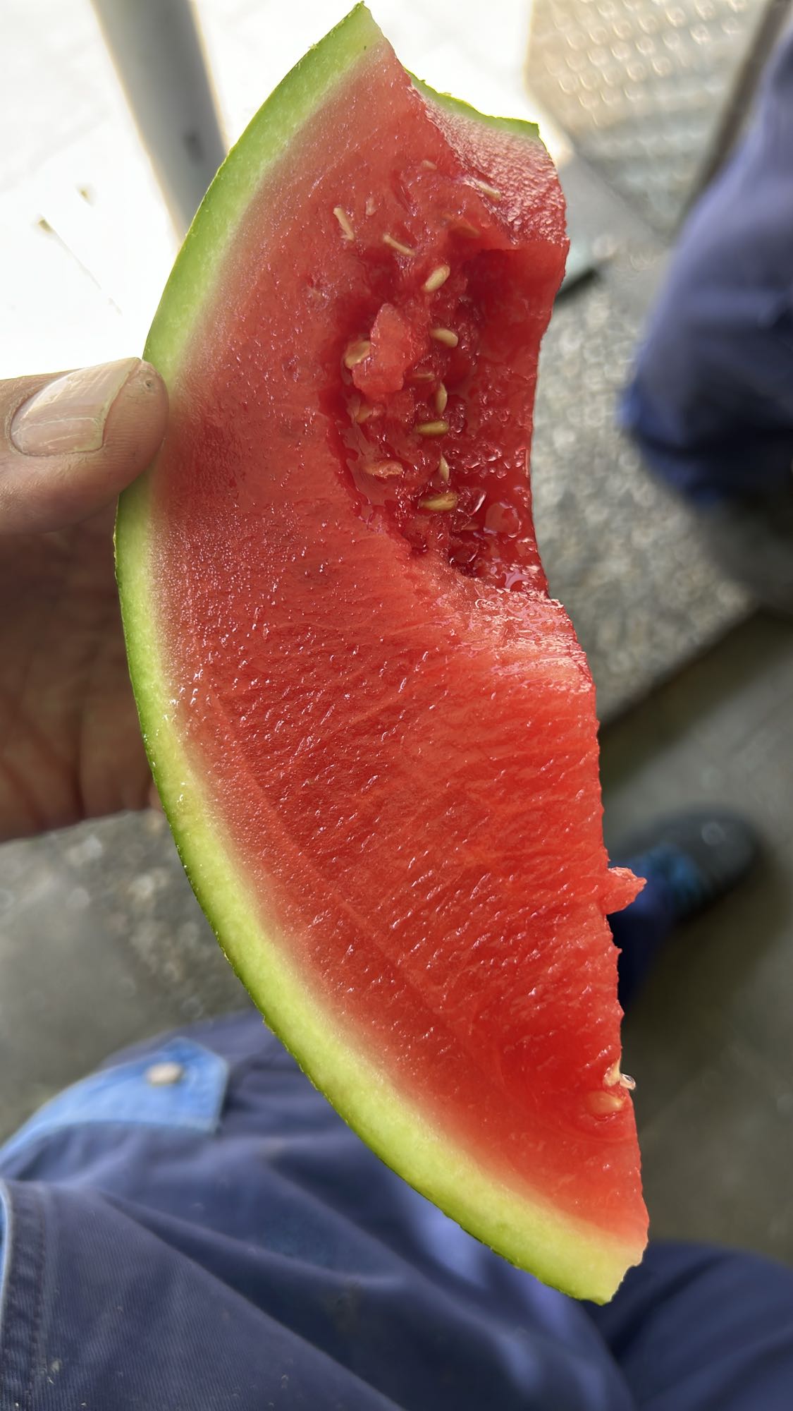 rebanada de sandía