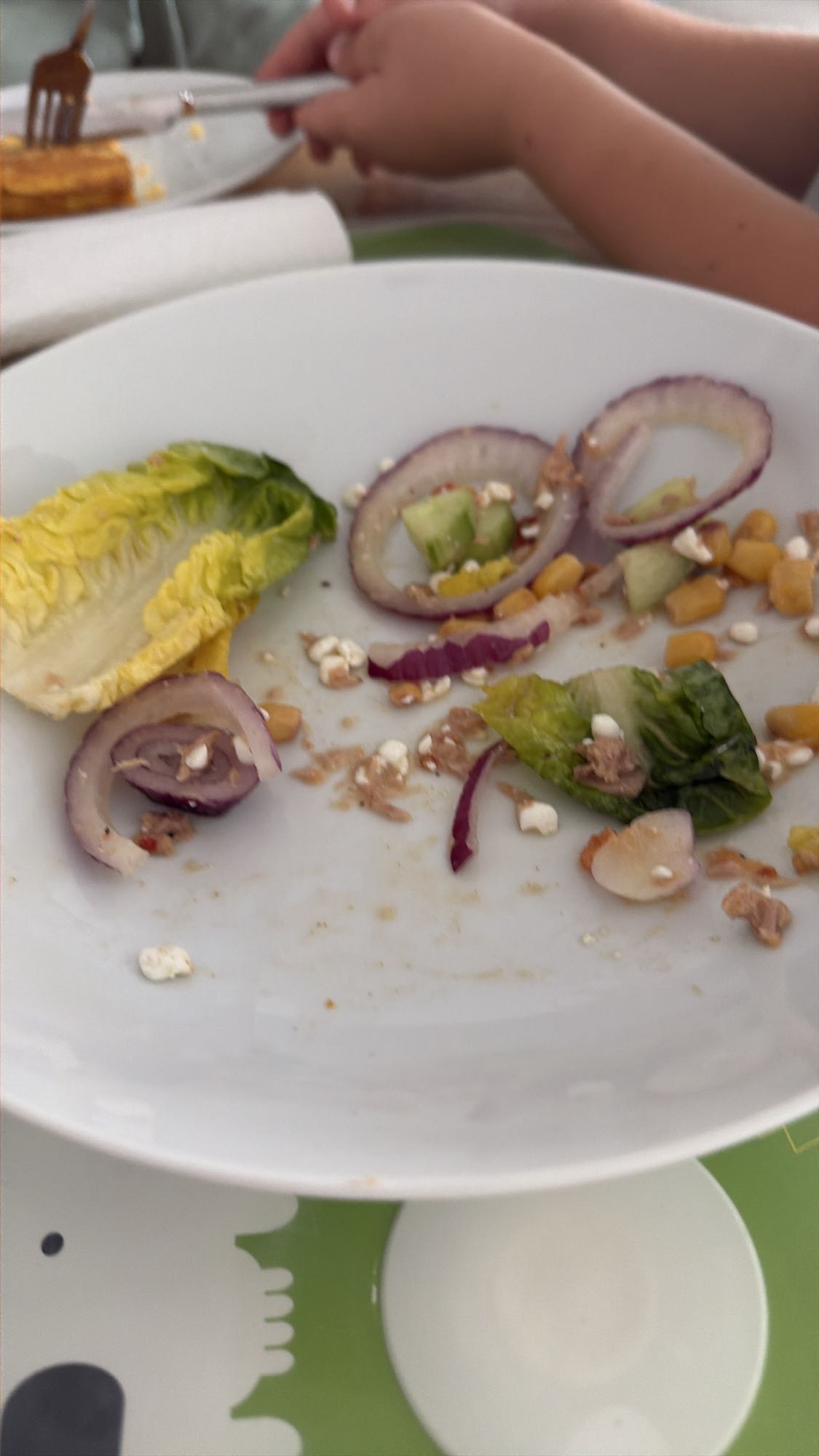 Kleiner Salatrest mit Hüttenkäse