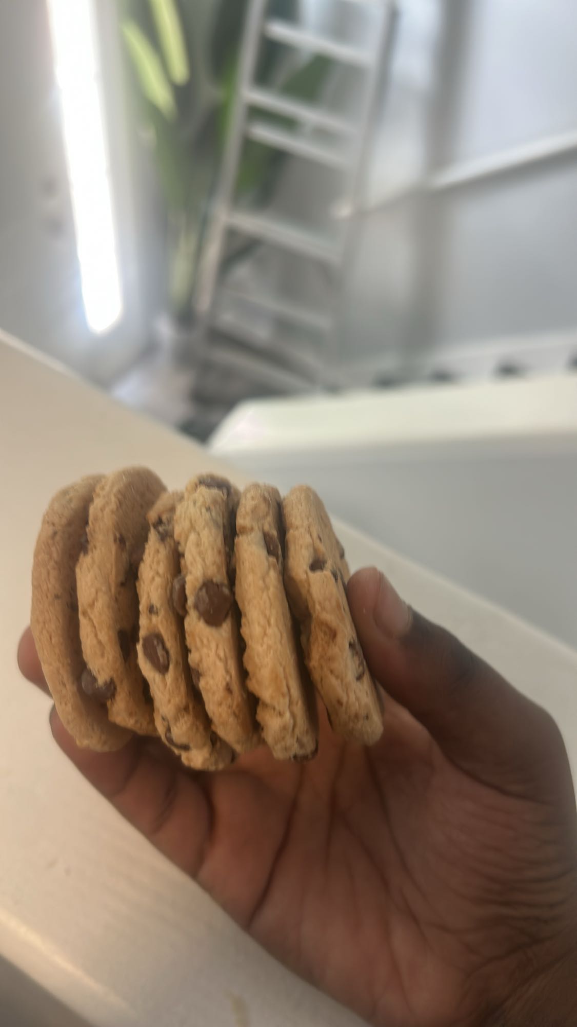 Chocolate Chip Cookies