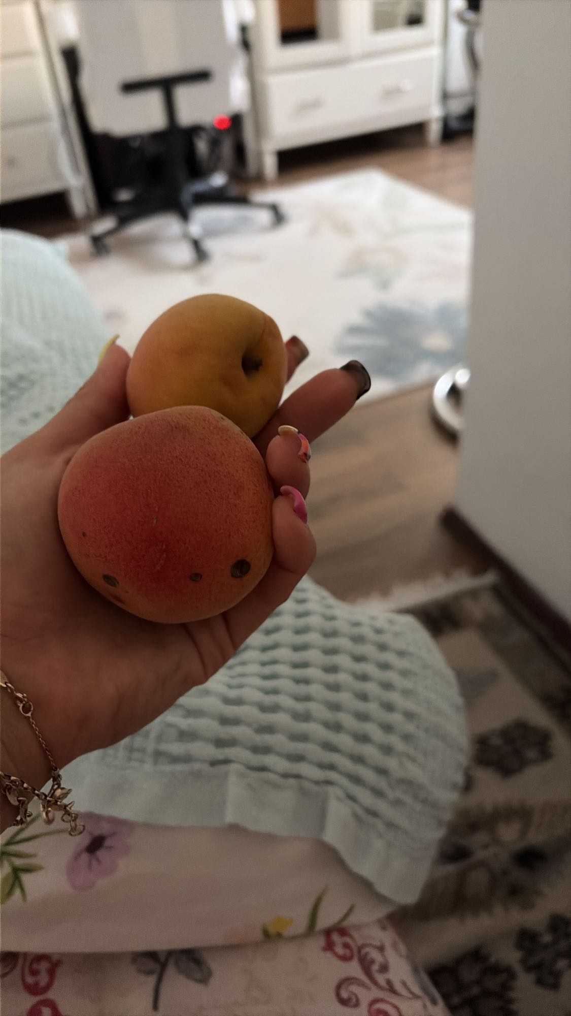 Gustare cu două caise