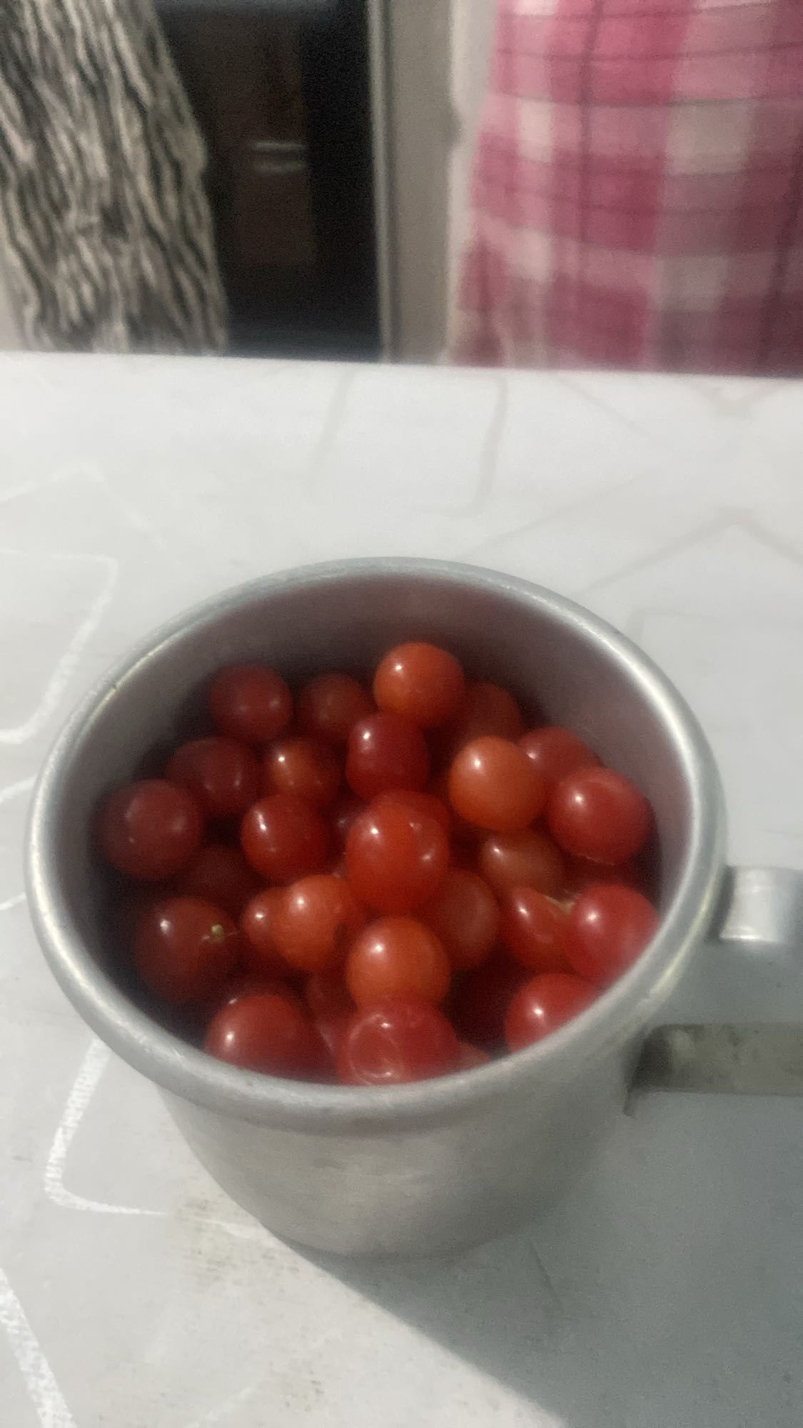 Вишня