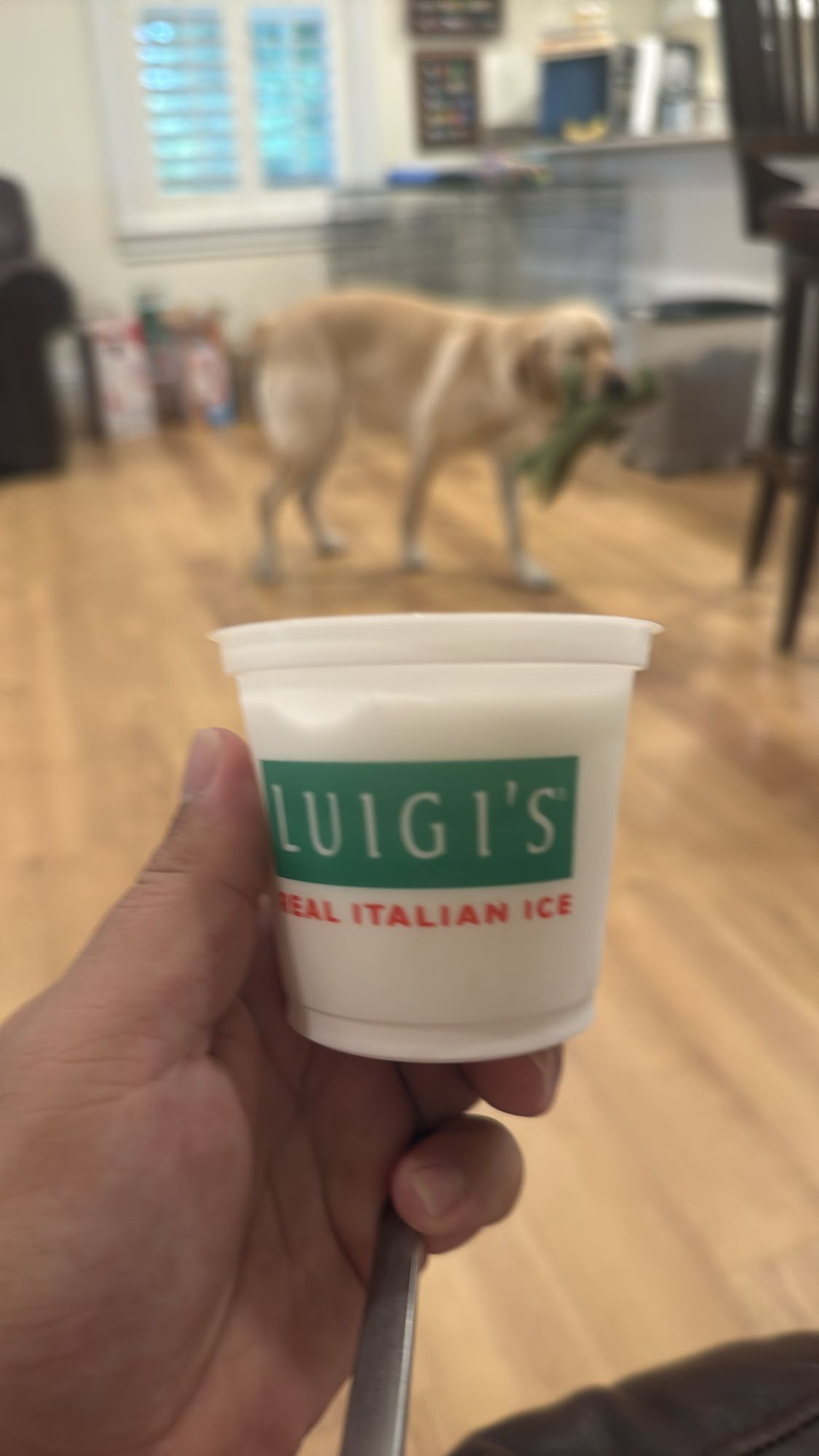 Luigi's Italian Ice