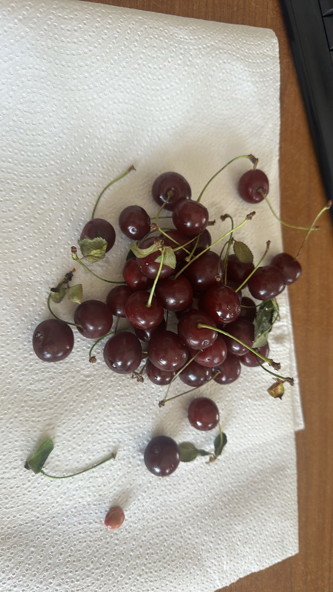 Fresh Cherries