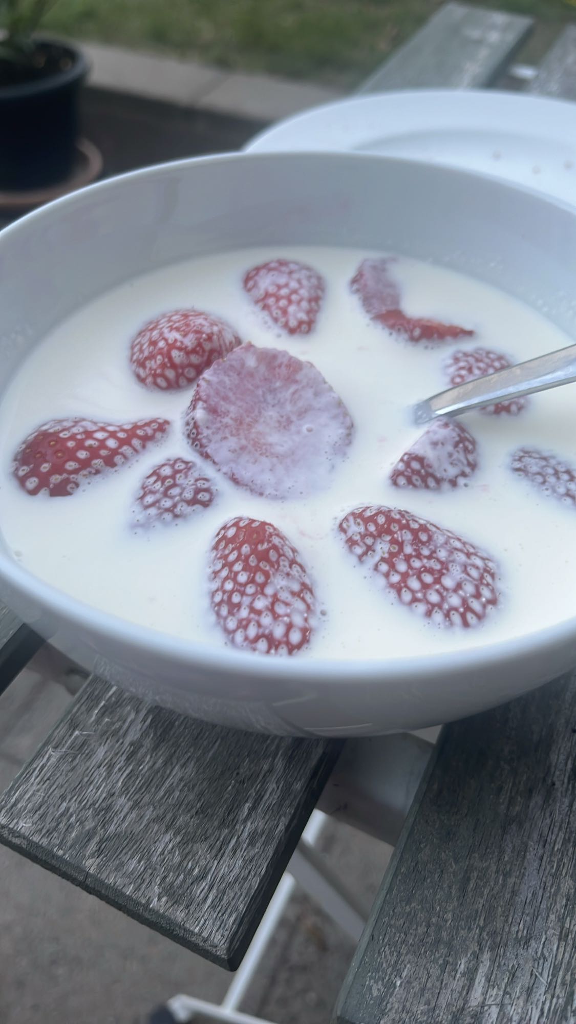 Jordgubbar med mjölk