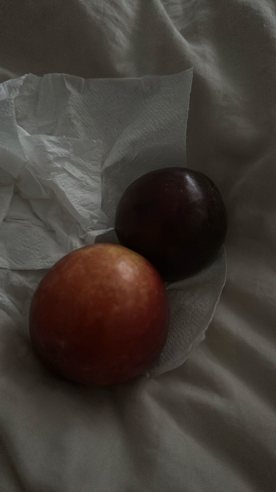 Two Plums