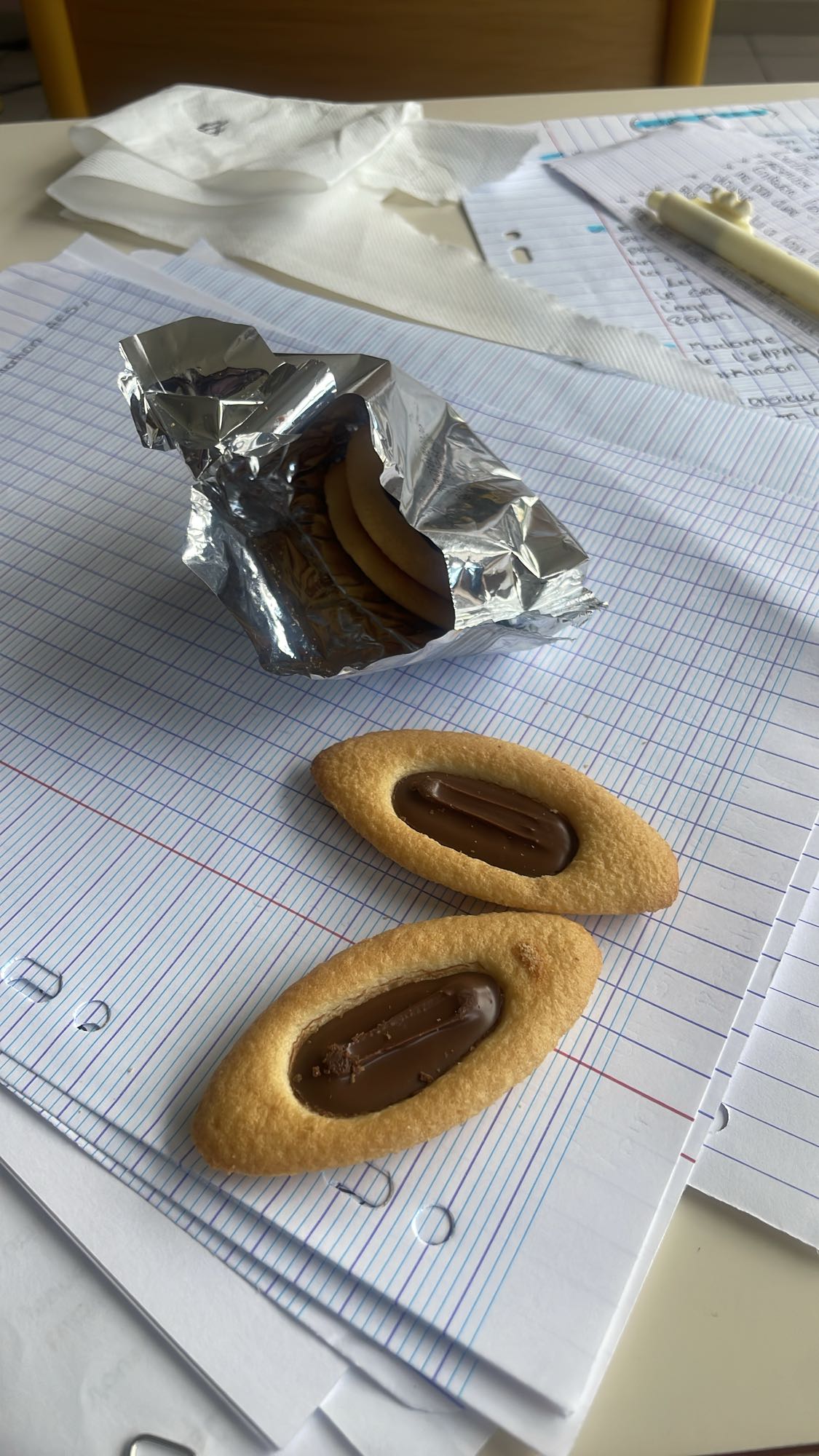 Biscuits chocolatés