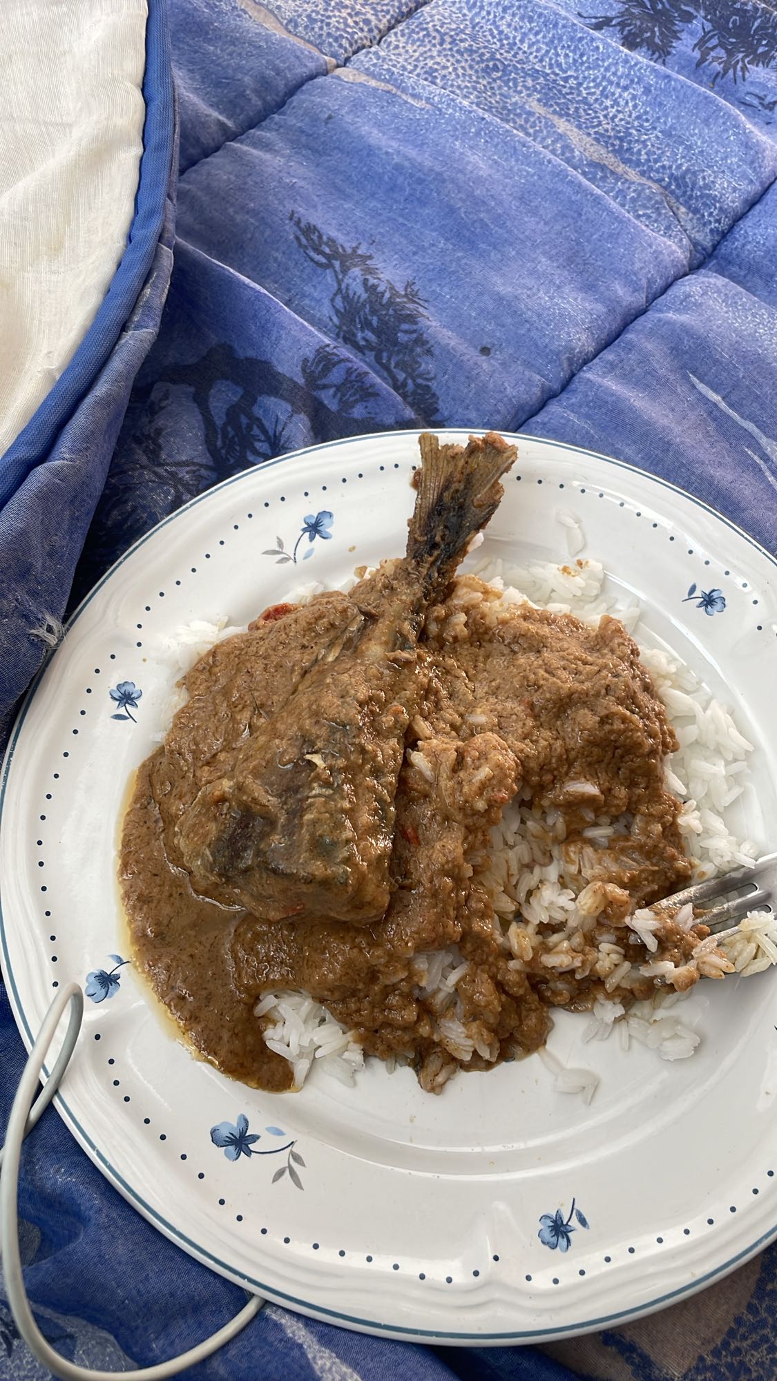 Riz au curry et viande