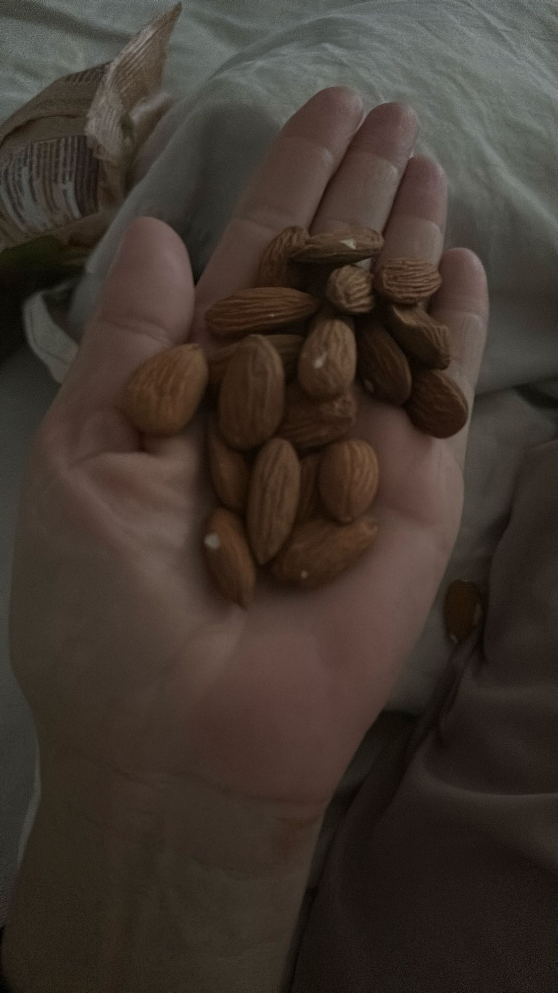 Handful of Almonds